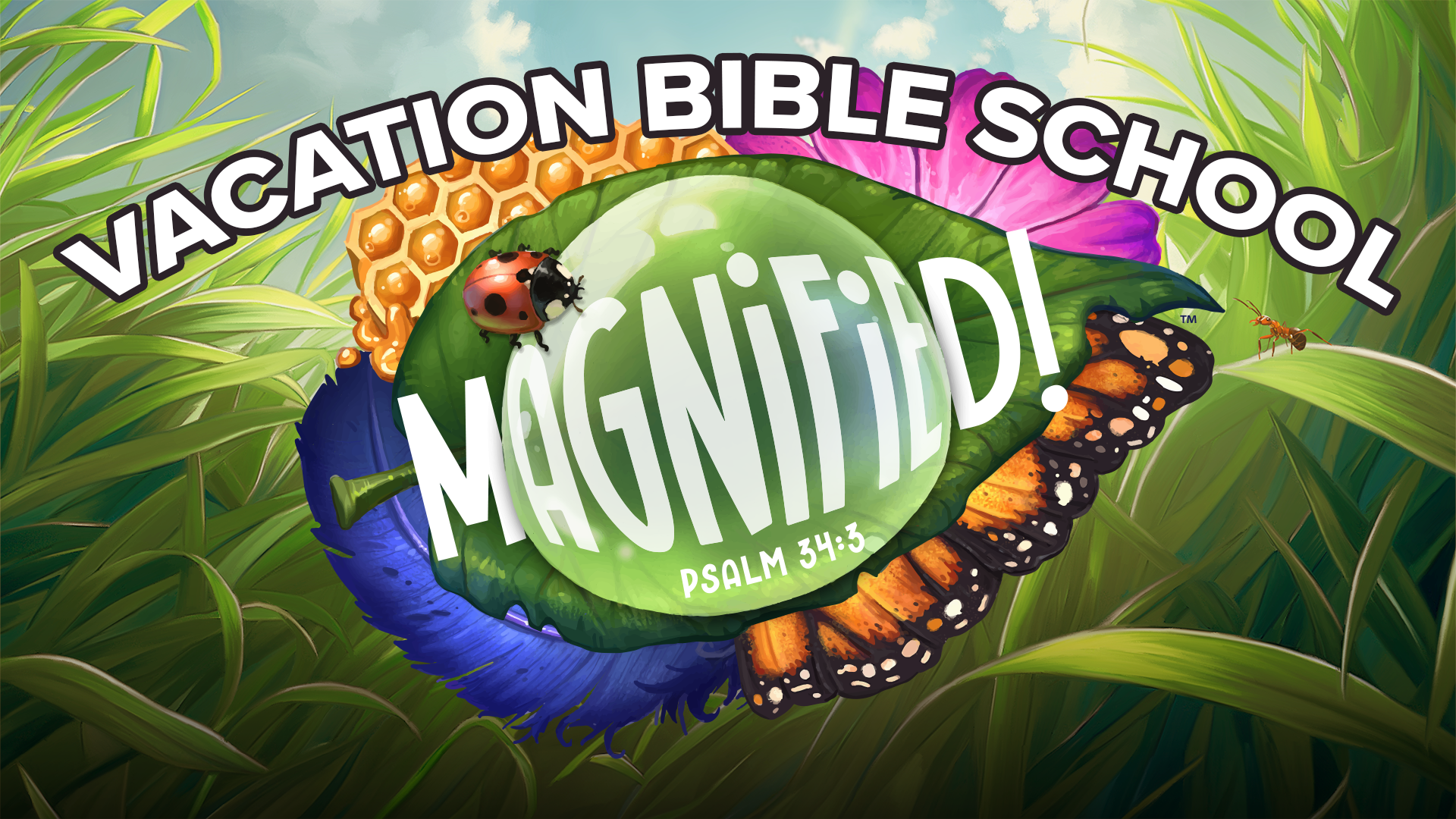 Vacation Bible School 2025