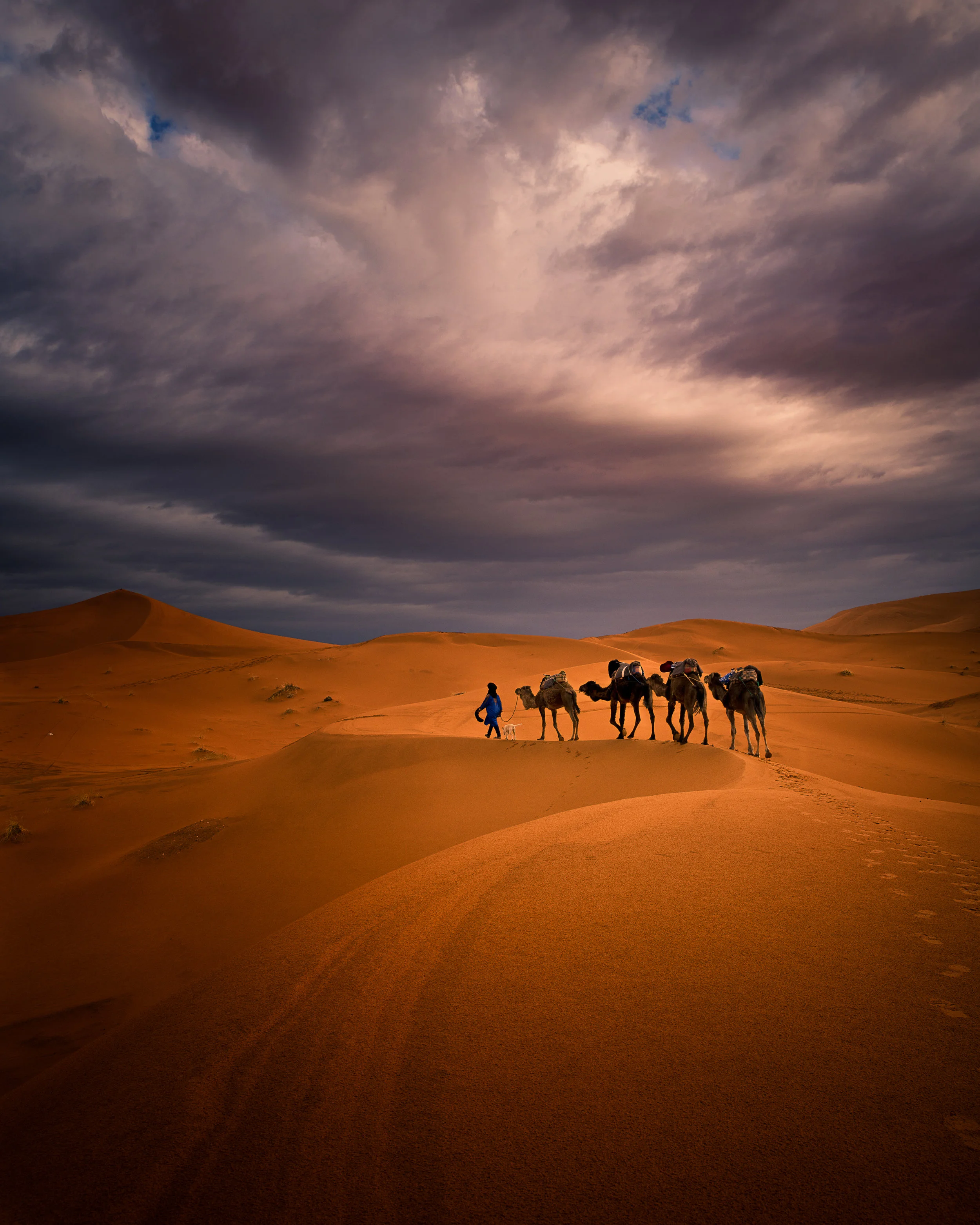 Sahara Desert