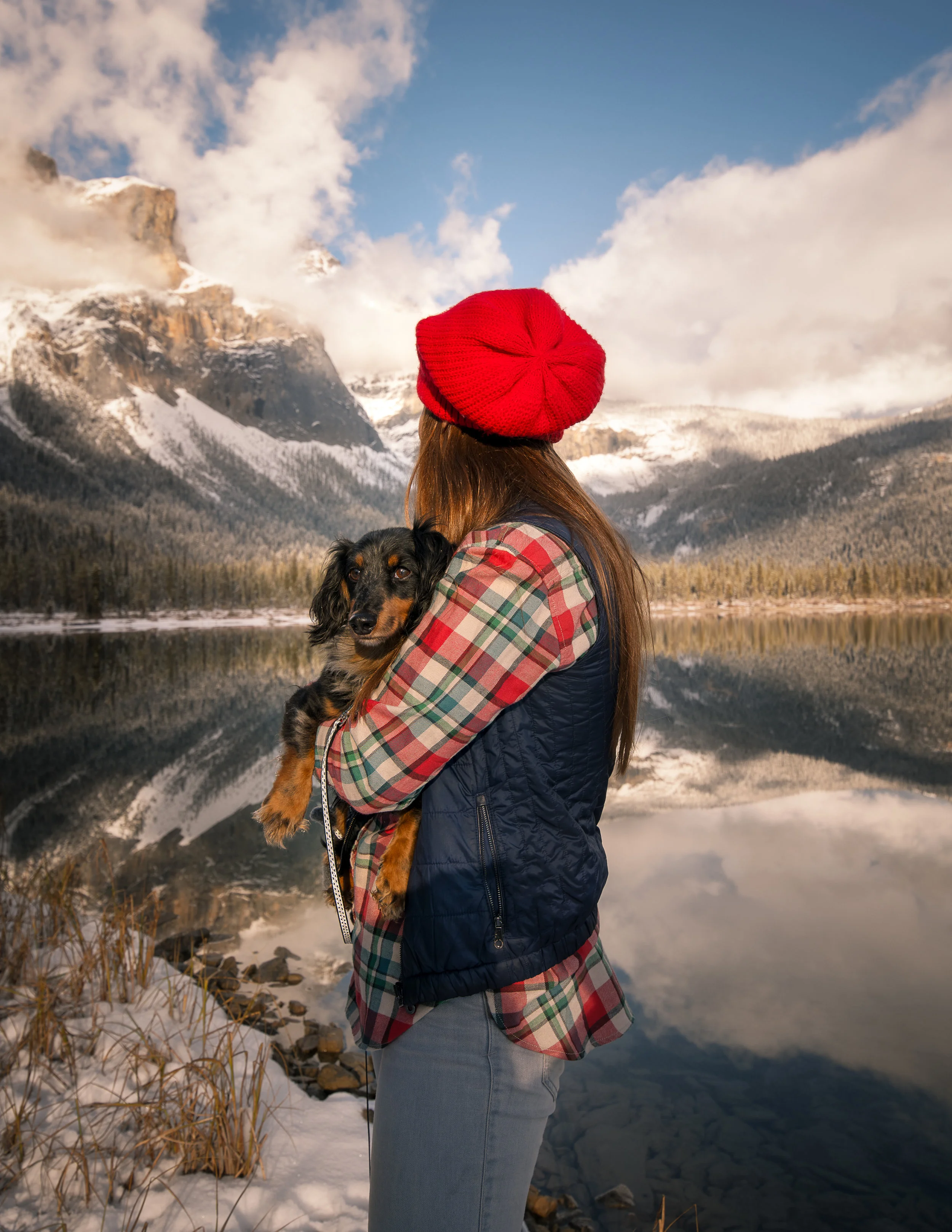 Client: Coastal Pets