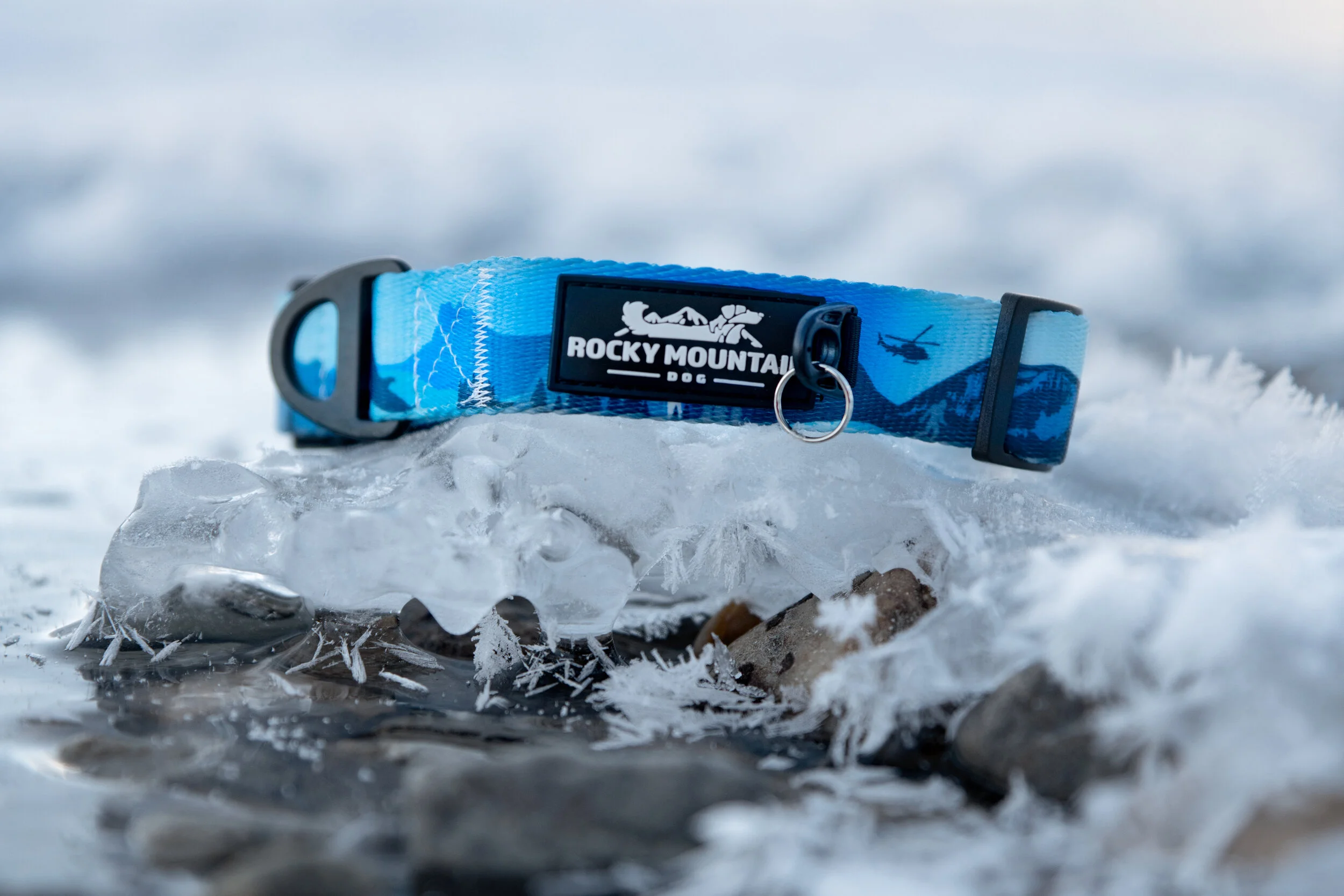 Client: Rocky Mountain Dog