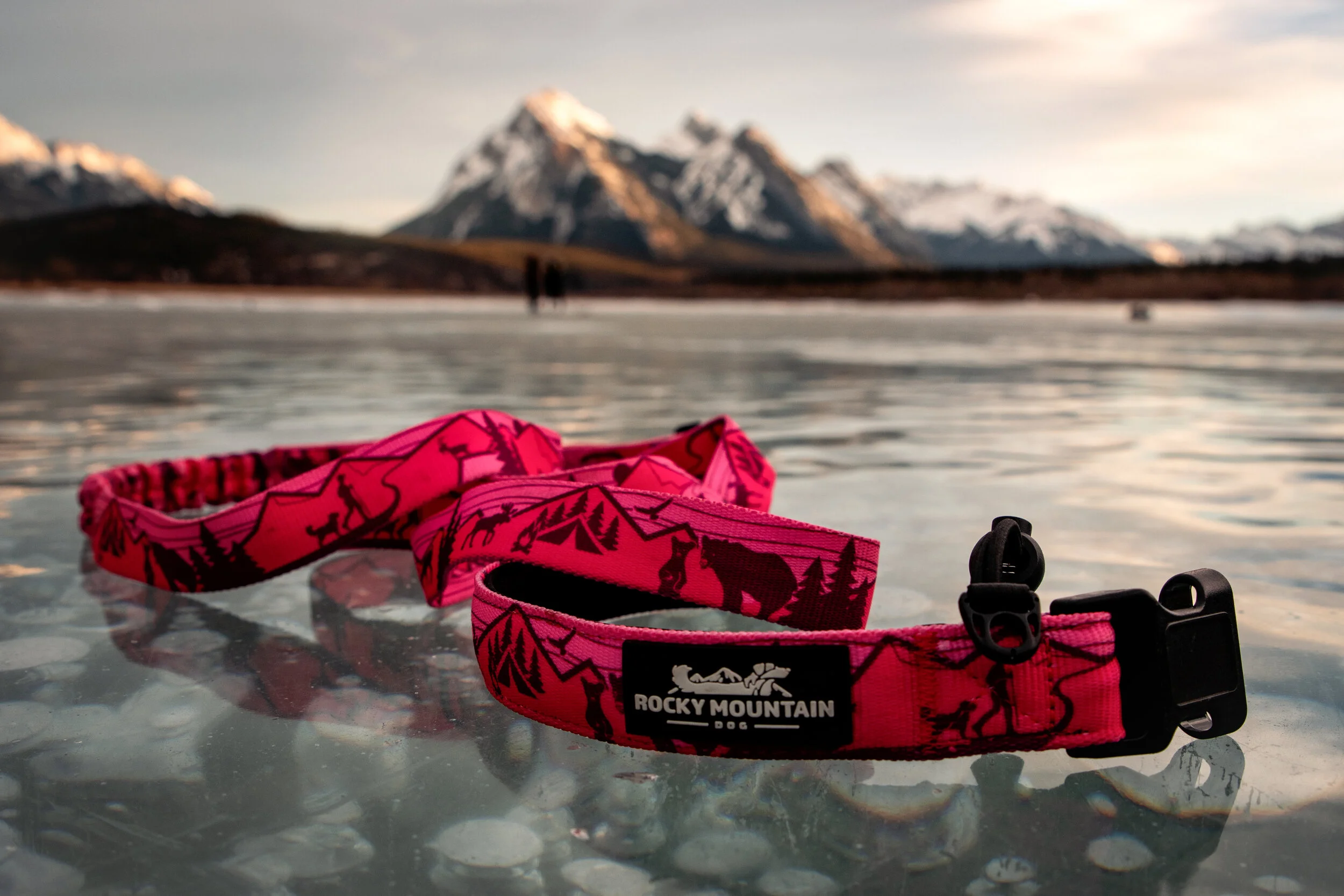 Client: Rocky Mountain Dog