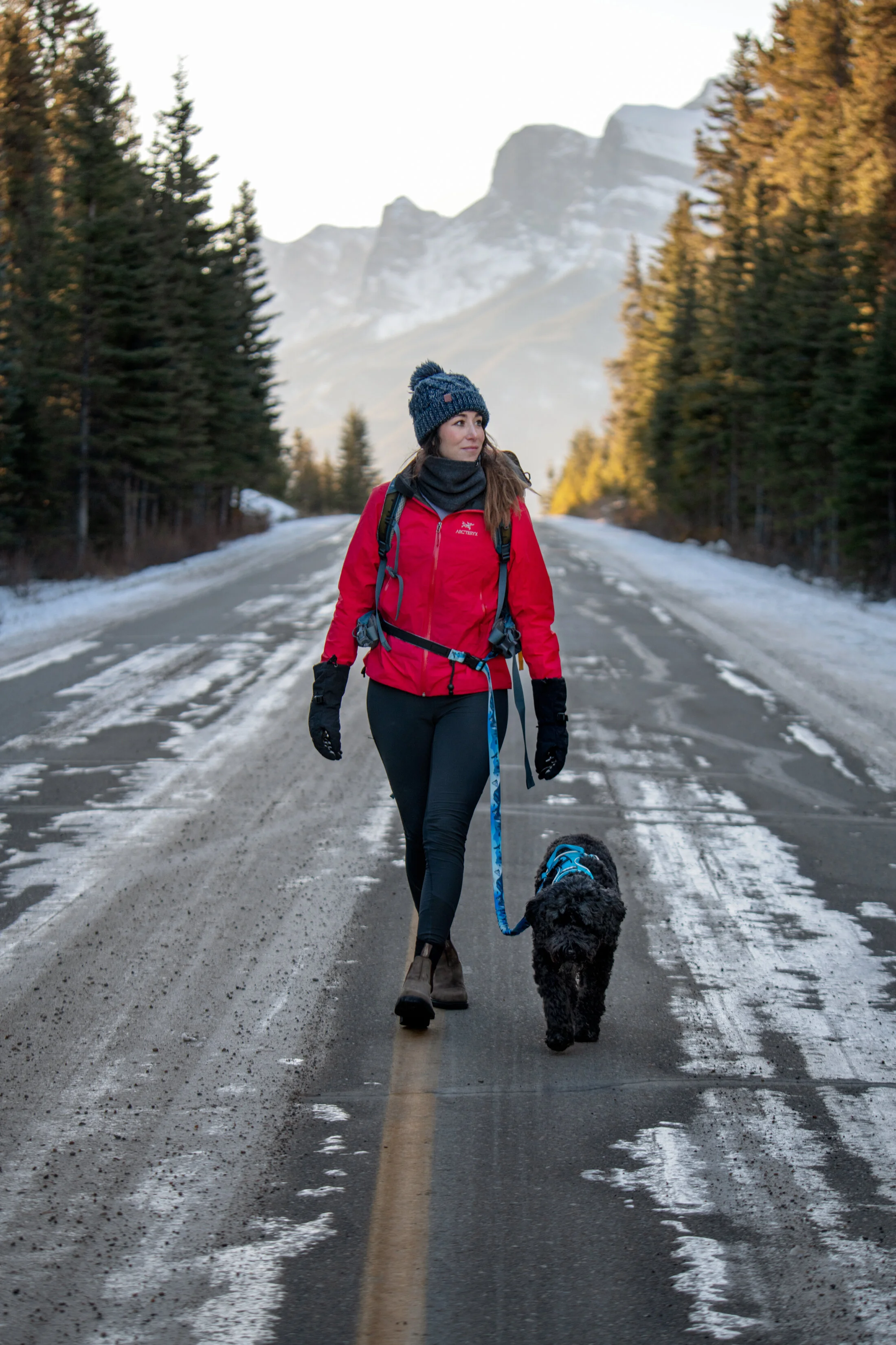 Client: Rocky Mountain Dog