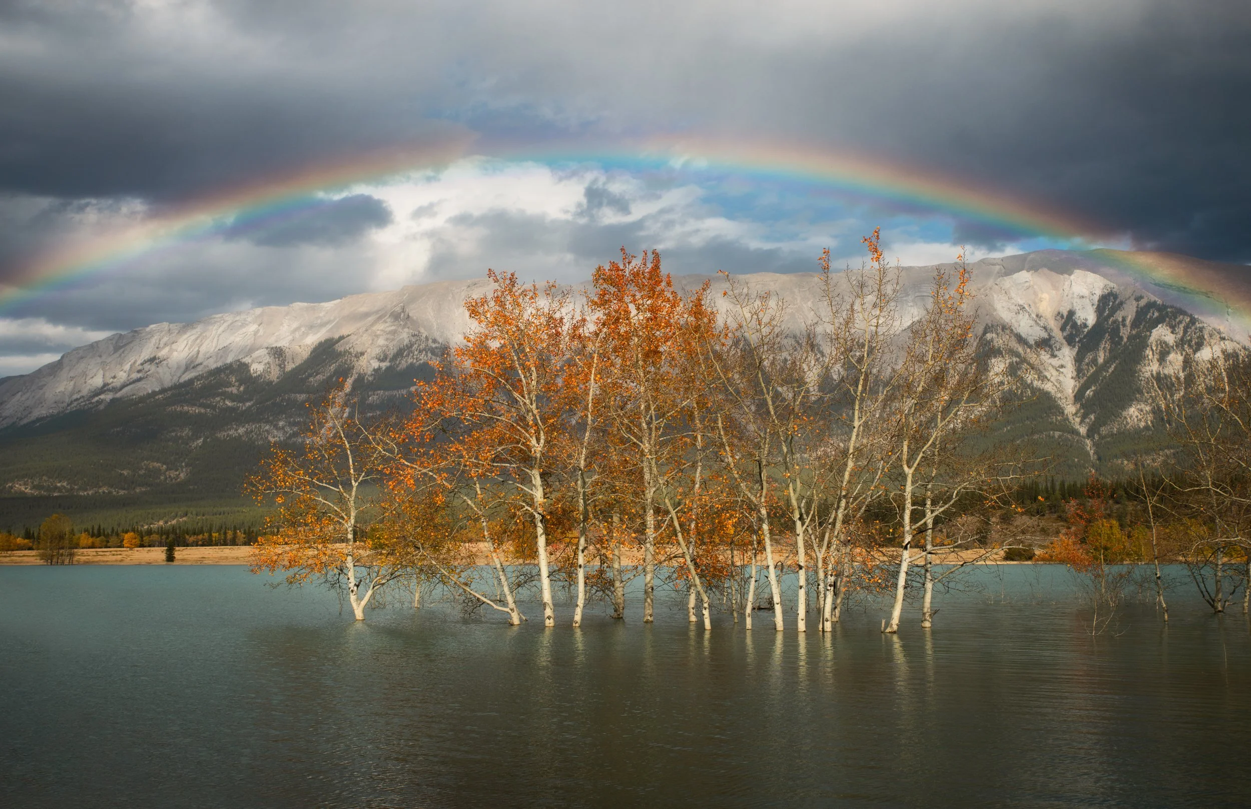 Abraham Lake, Alberta