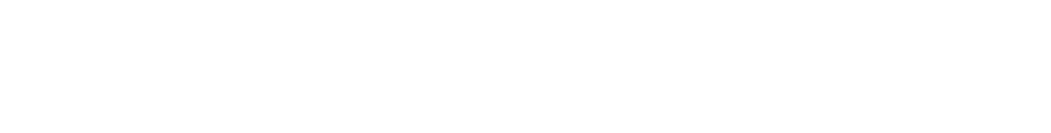 Bluespring Wealth Management