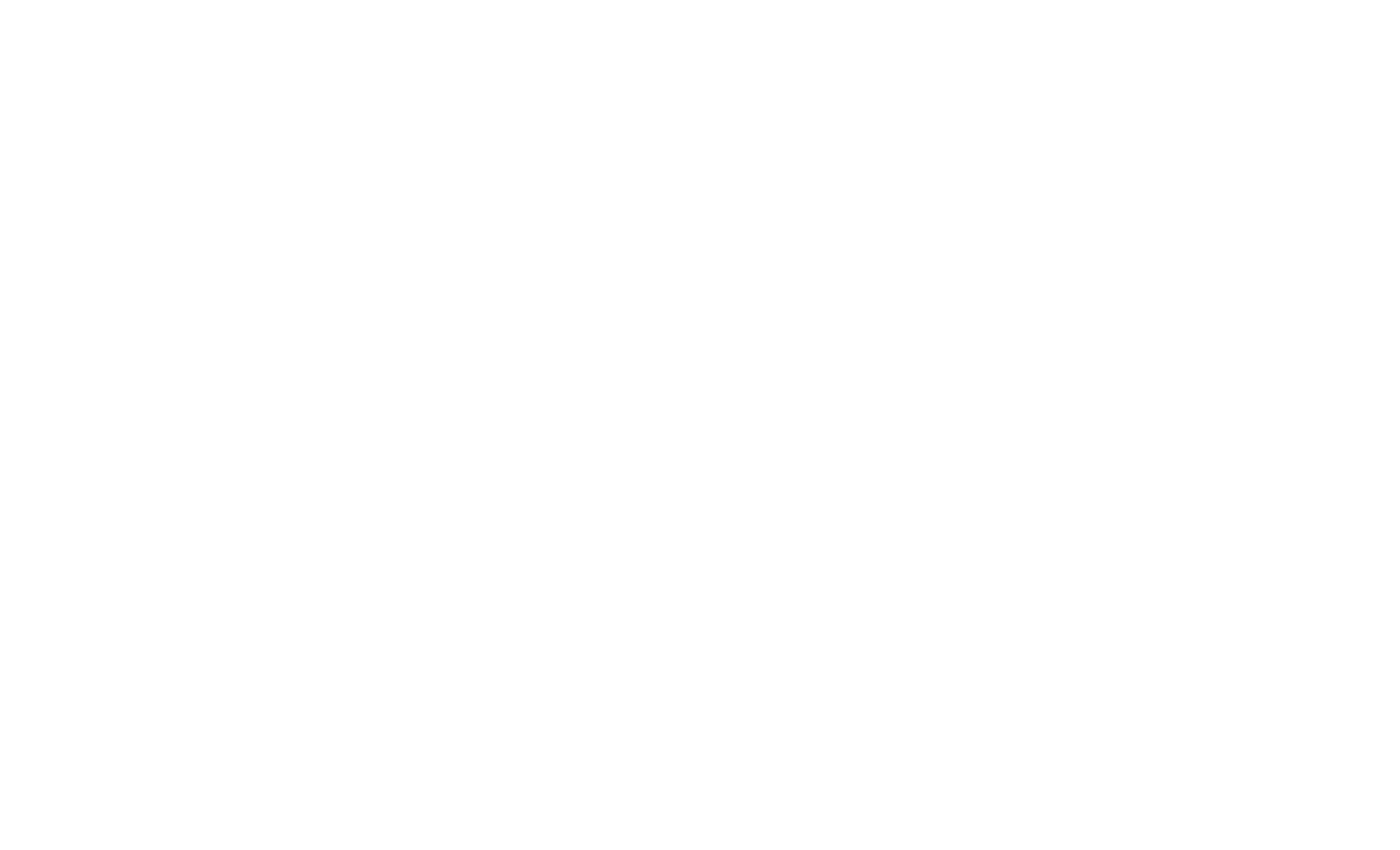 Bluespring Wealth Management