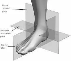 From the Ground Up: Triplanar Ankle Mechanics and Its Role in Pitching Velocity