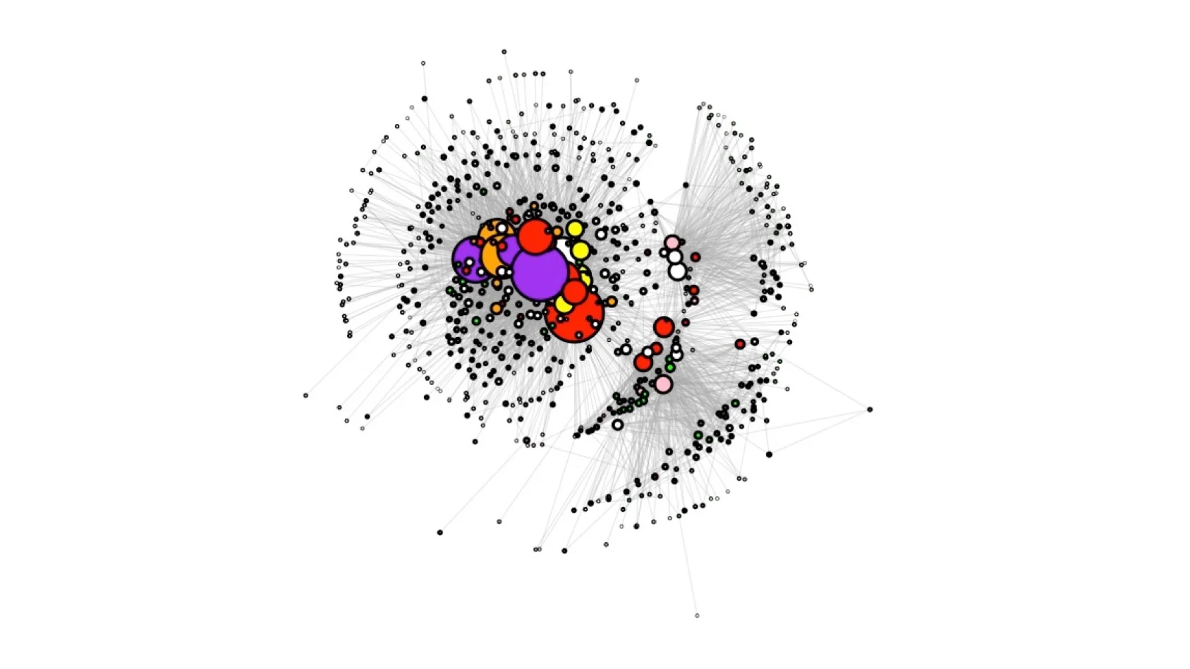 Network image.jpg