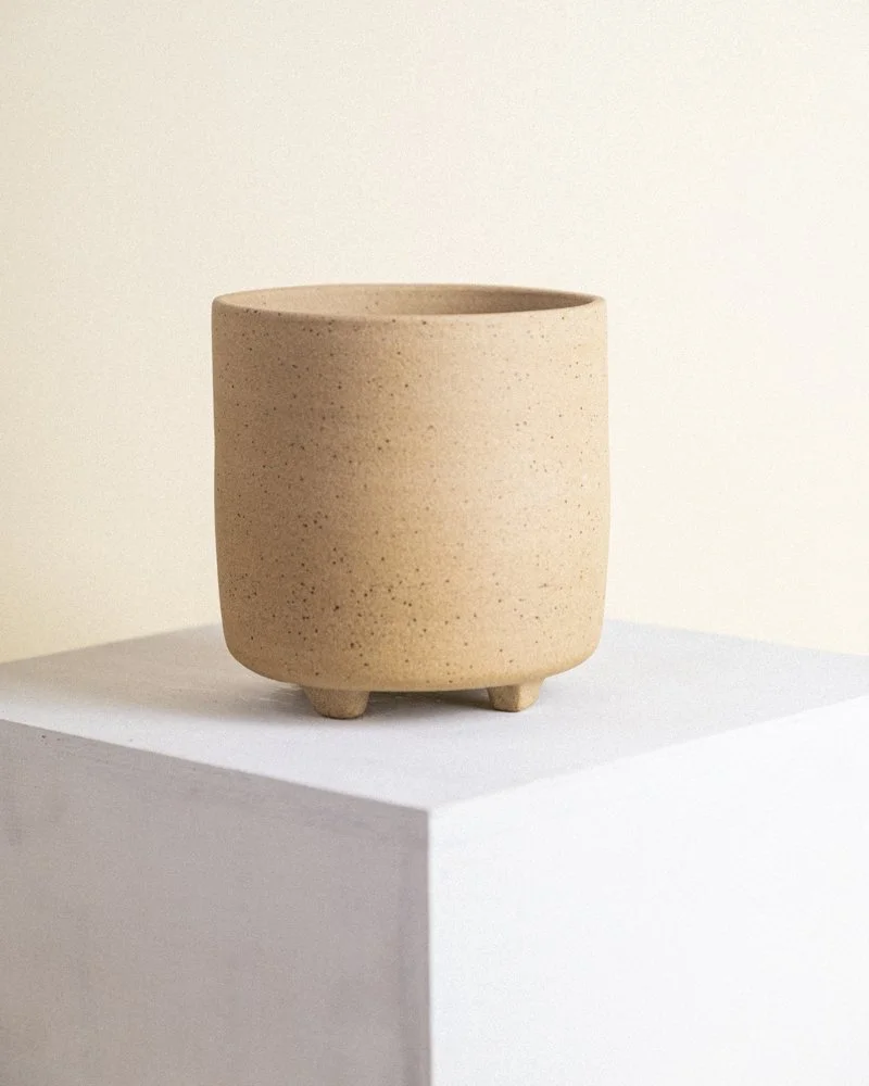 Jess-Guatney-Studio-Renegade-2023 (84 of 87).jpg