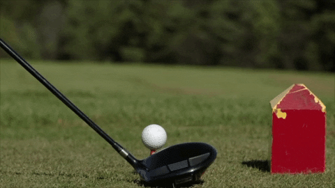 golf tee.gif