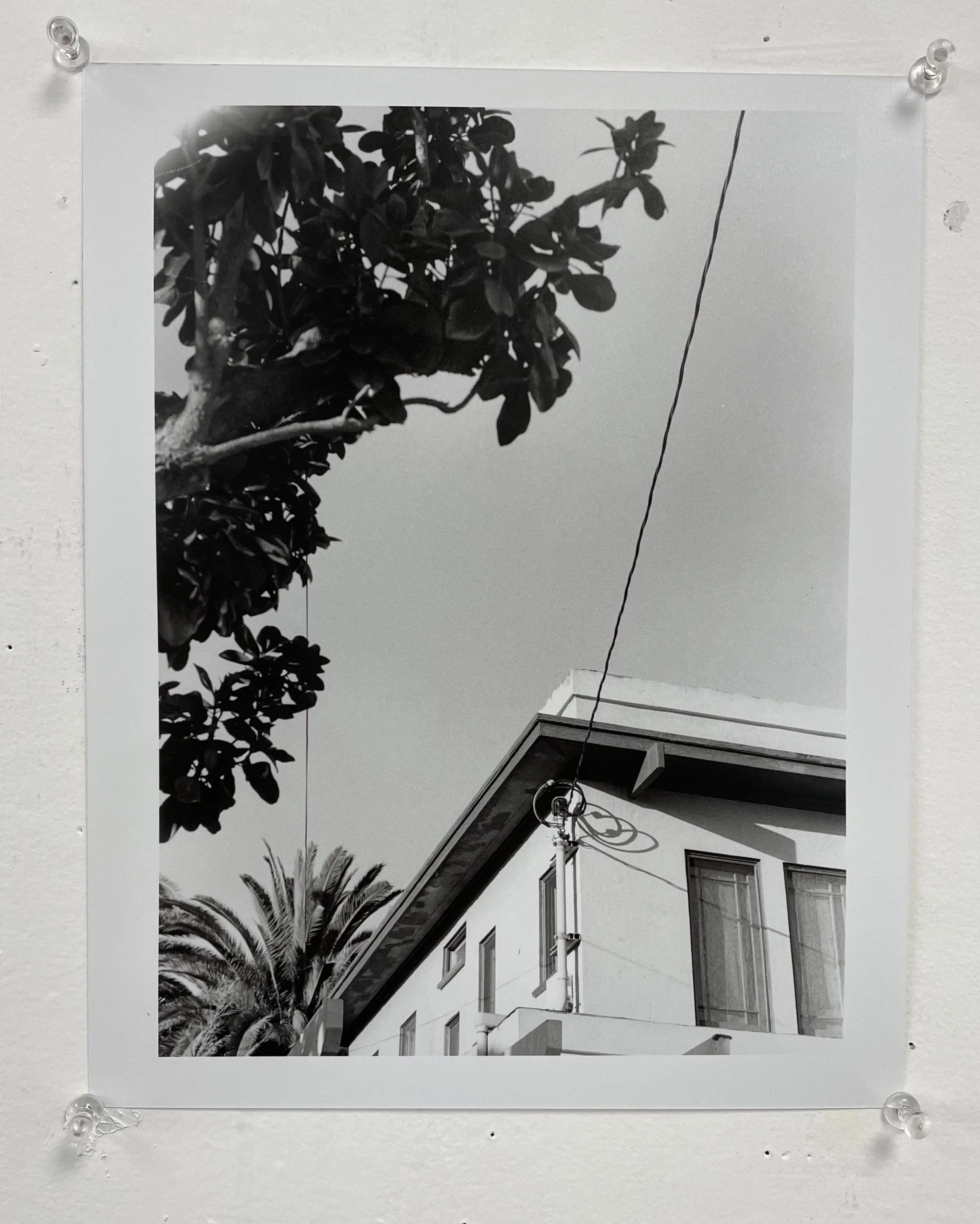 FullSizeRender 3.jpeg