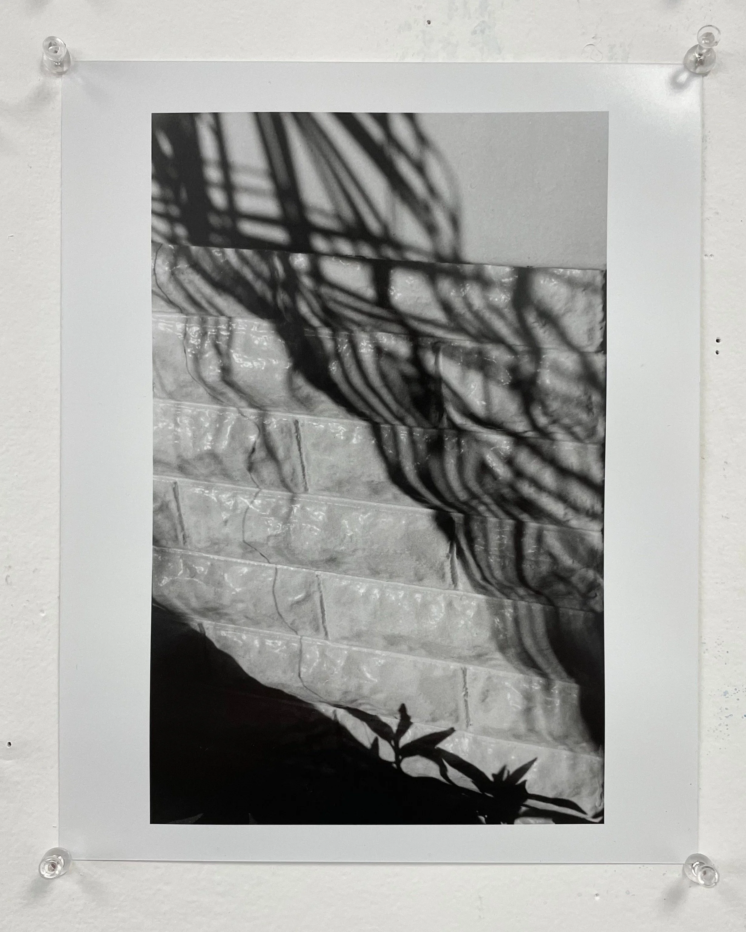 FullSizeRender 2.jpeg