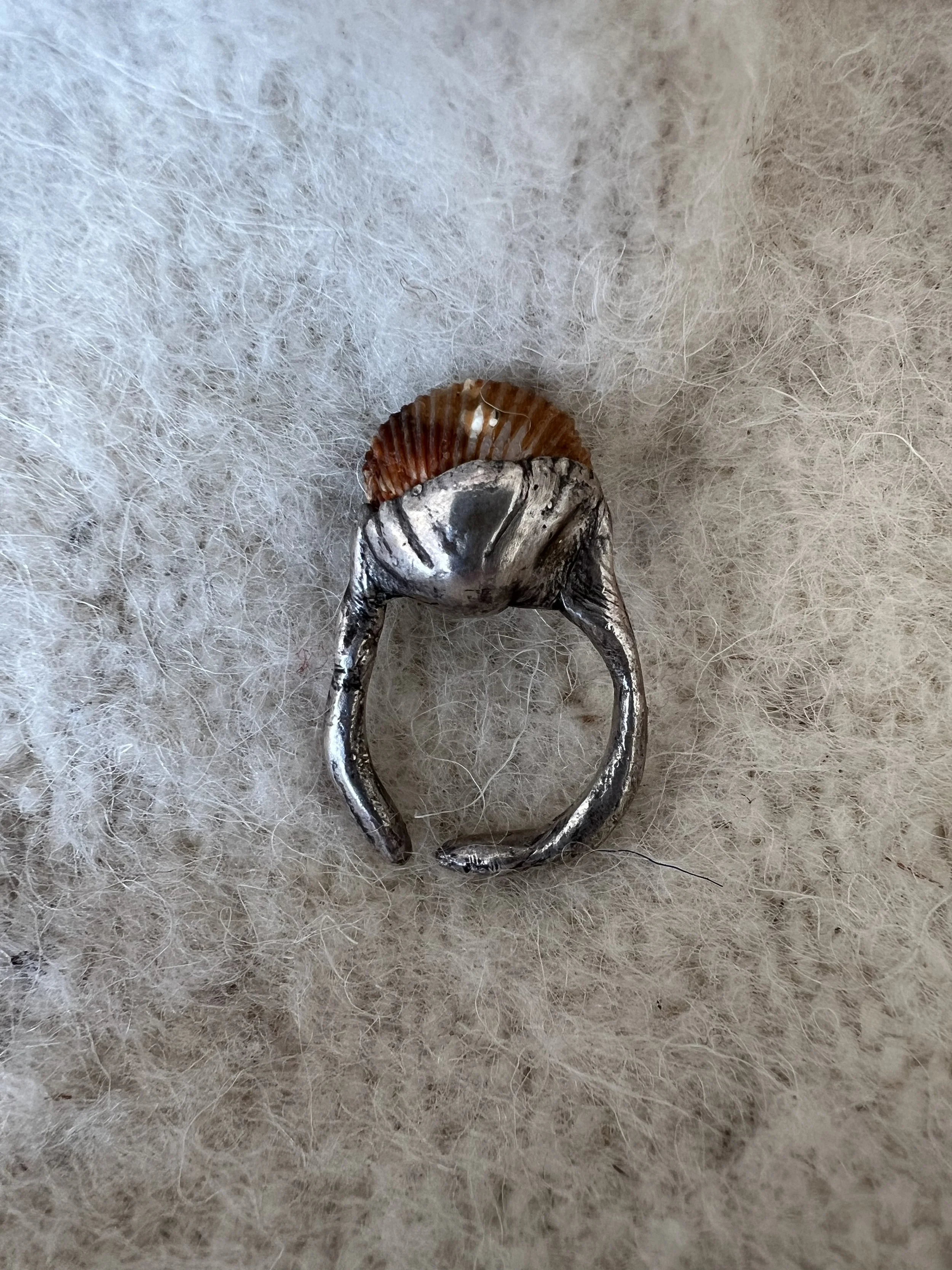 Shell Ring
