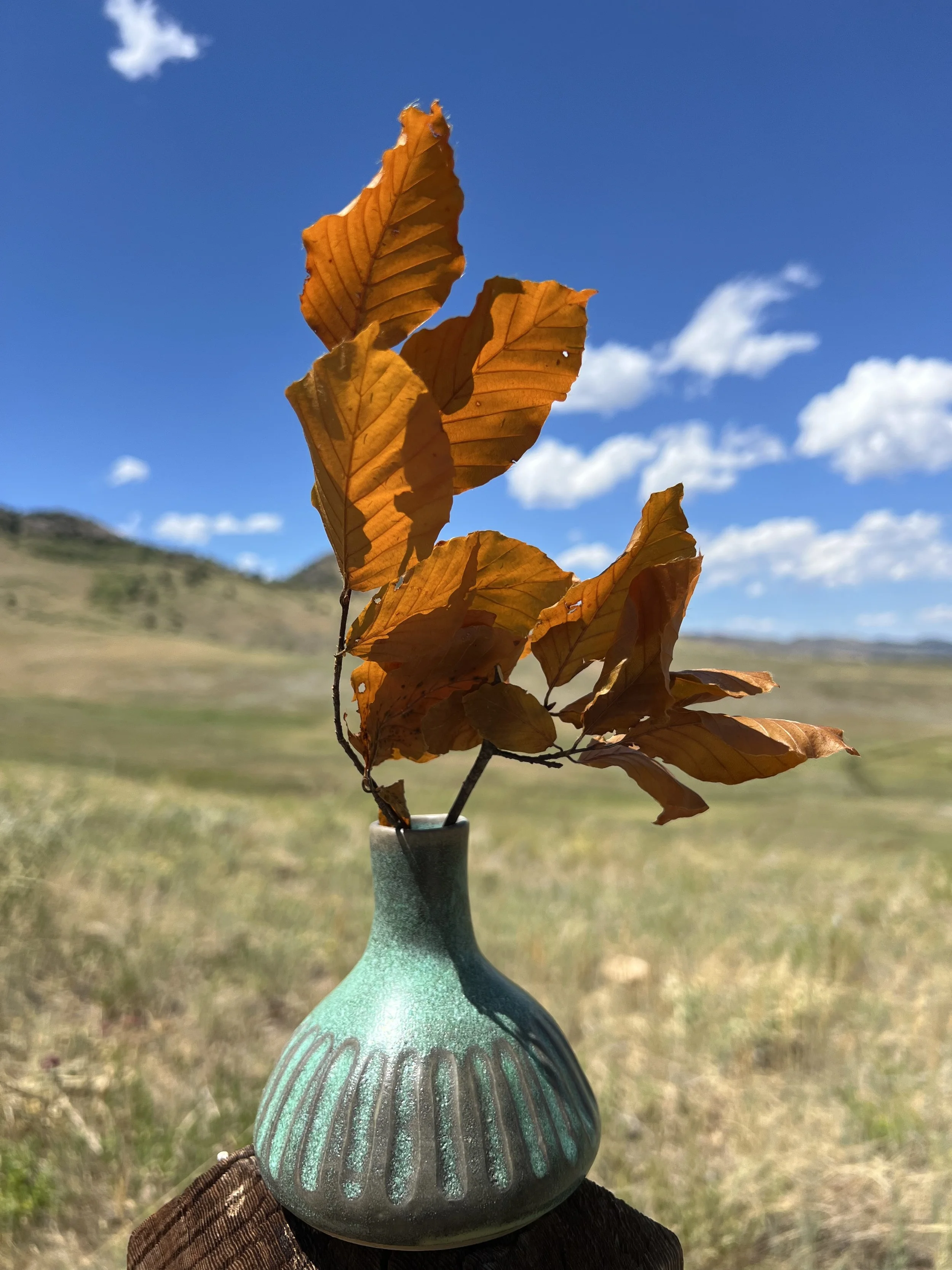 Little Turquoise Vase
