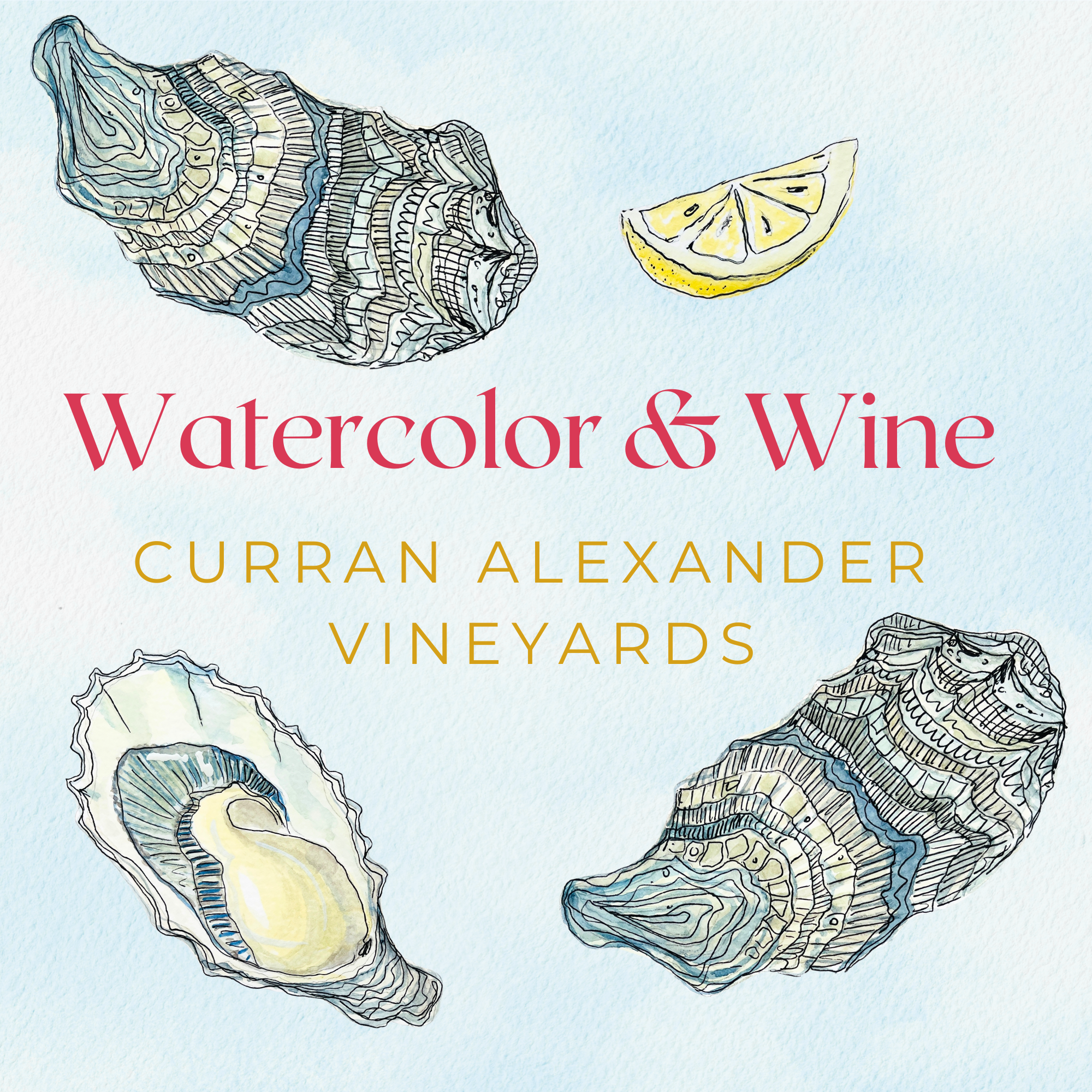Watercolor & Wine at Curran Alexander Vineyards