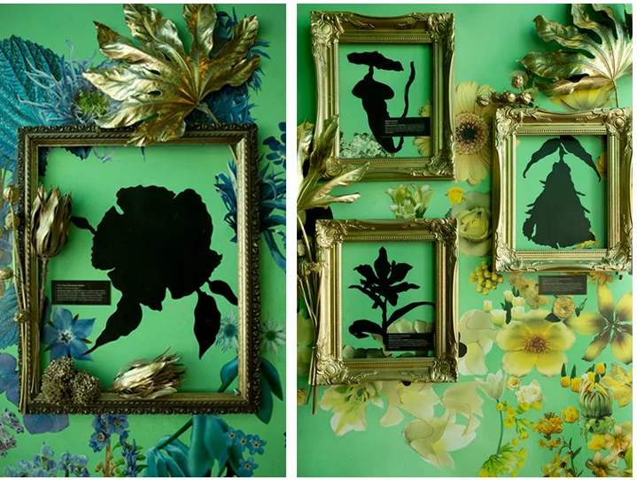 Site-specific installation Flora: Exploration to Extinction. © Anna Laurent, all rights reserved.