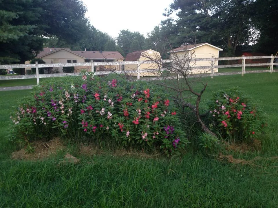 flowers burn pile.jpg