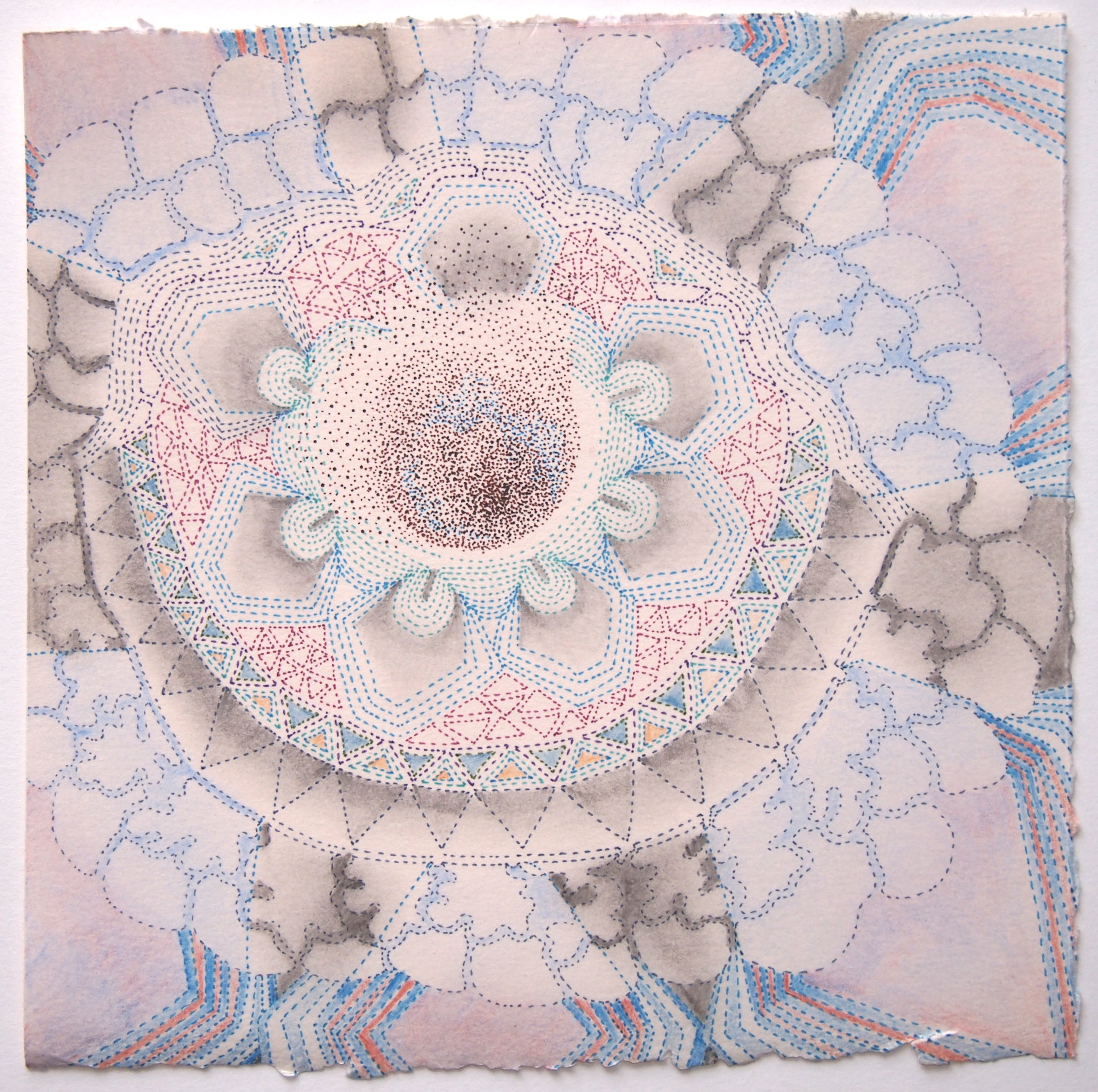 Blue Polypore. Ink, colored pencil and graphite on paper, 7 x 7 inches.