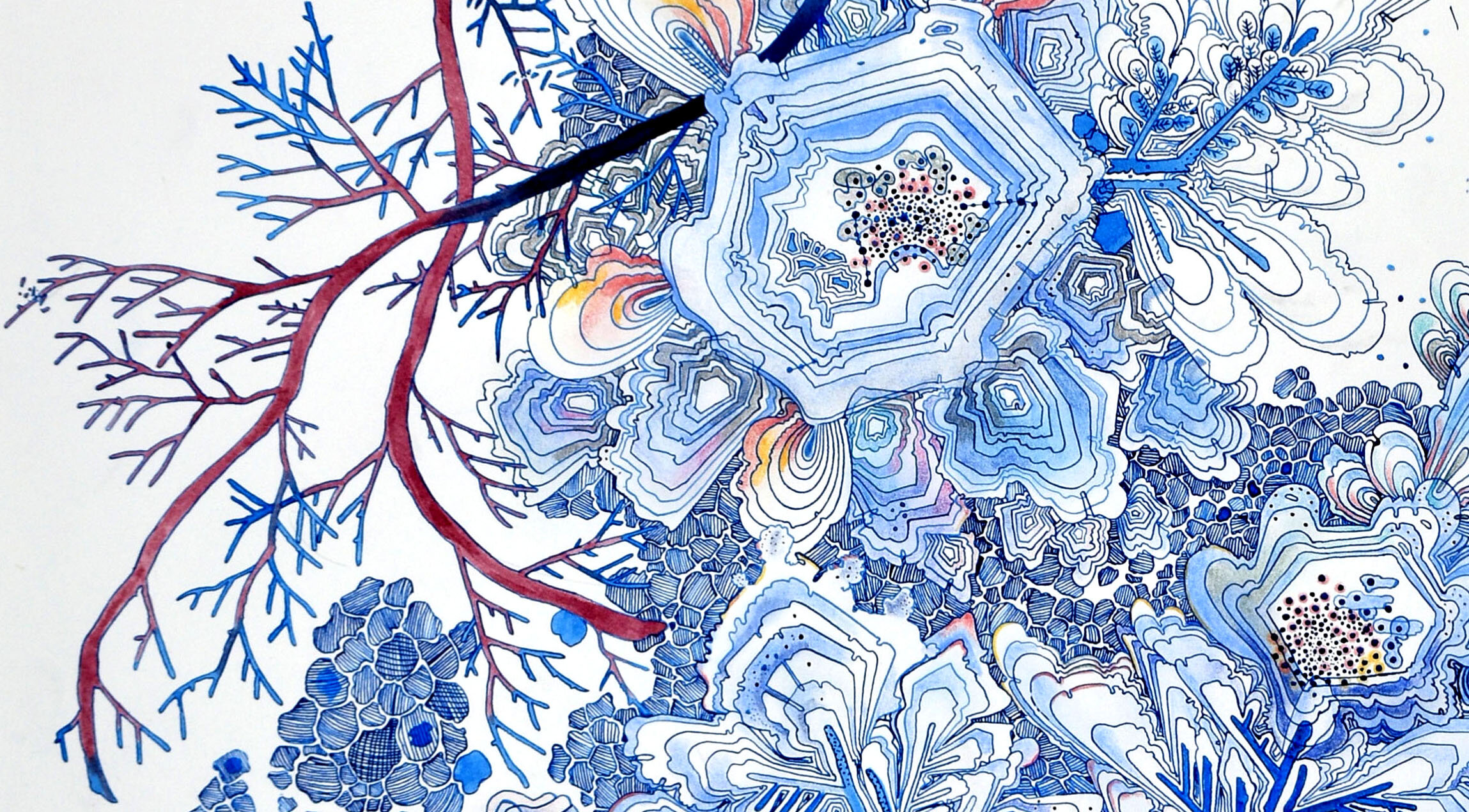 detail- Snow Flora, Falling