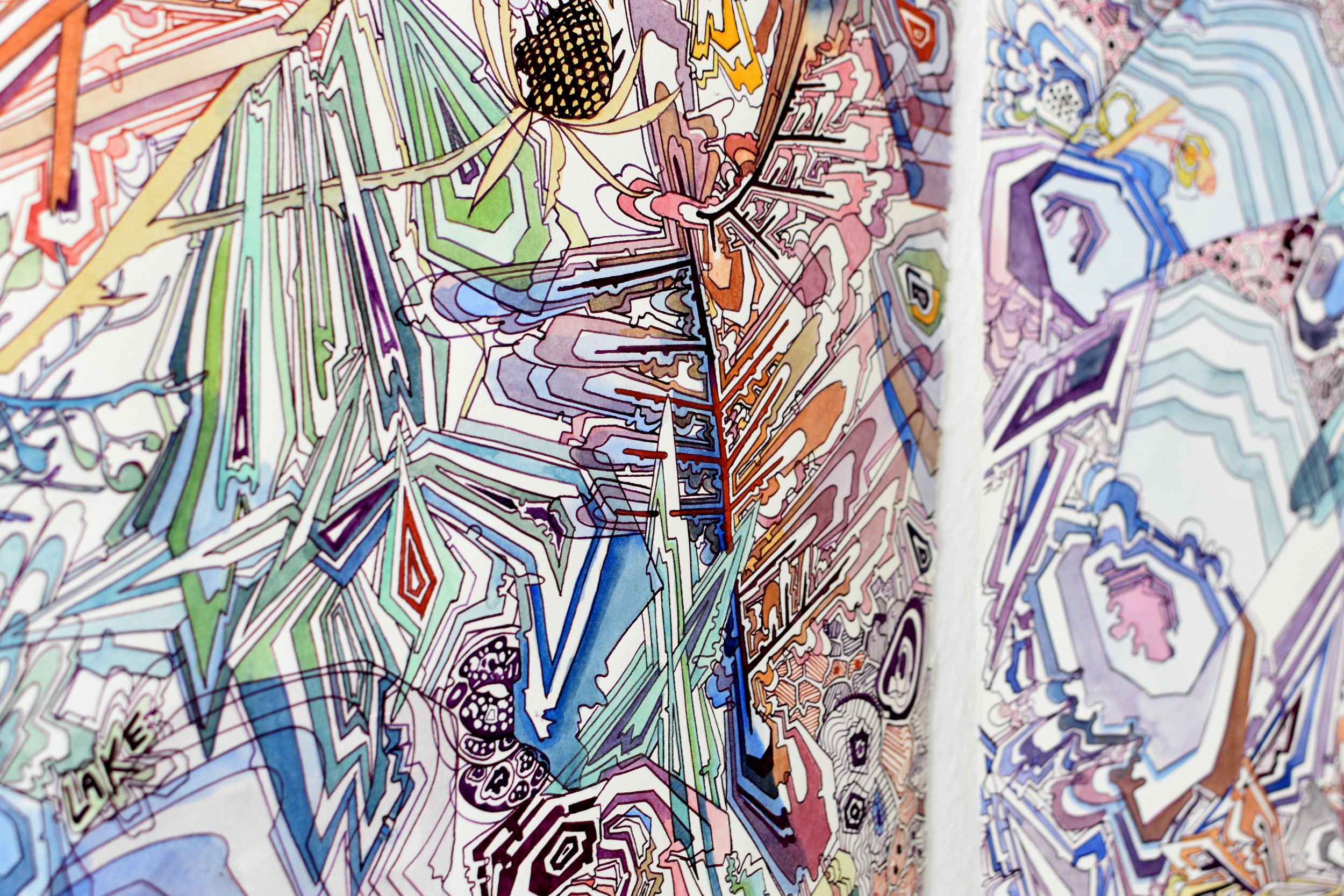 Detail- Seeding