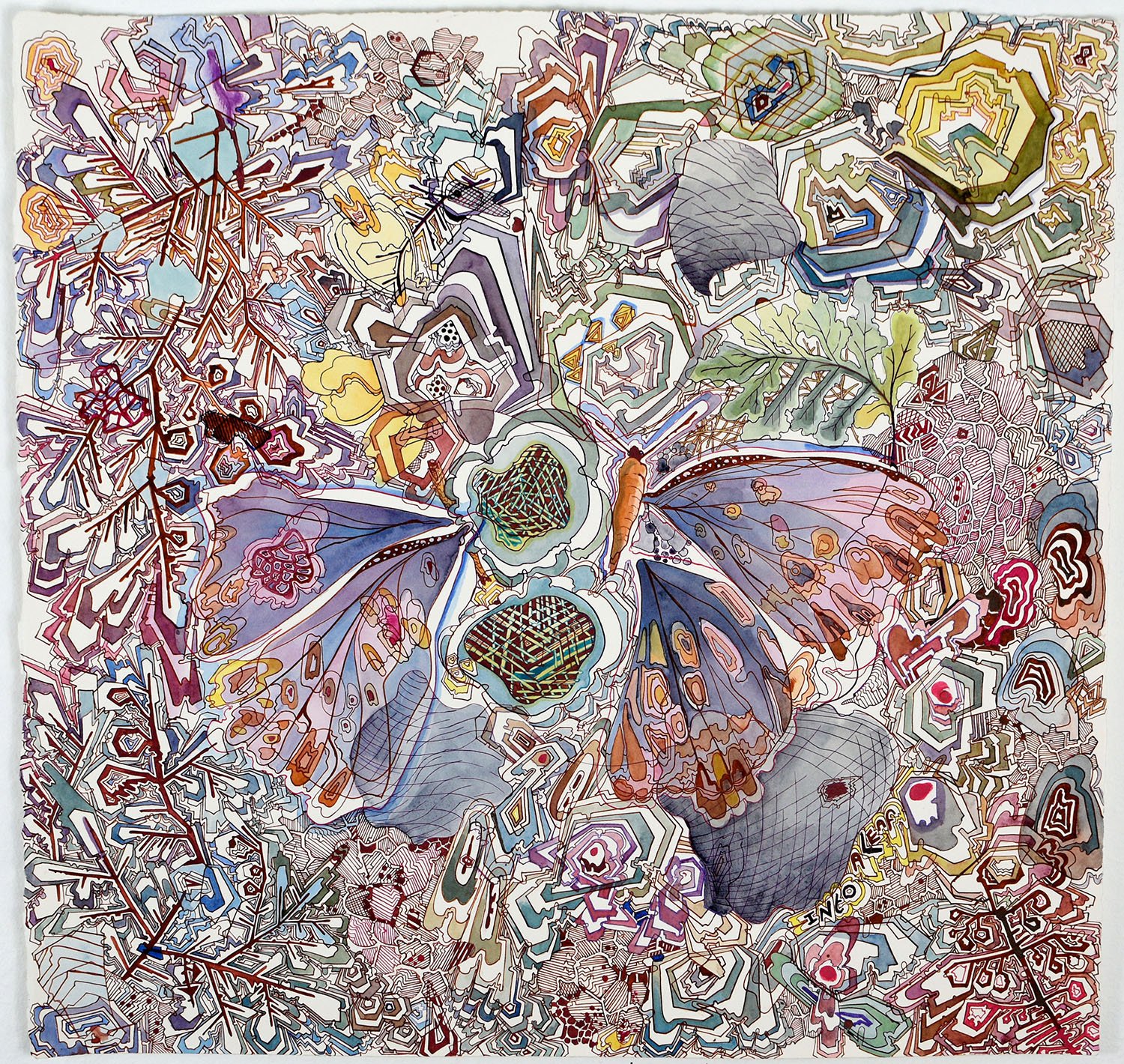 Broken Butterfly. Ink and watercolor on paper. 23.75 x 22.75 inches.