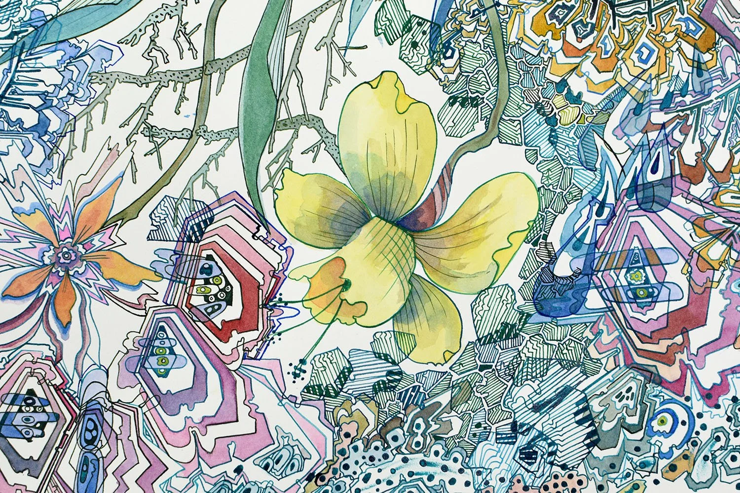 detail- Full Flower Moon