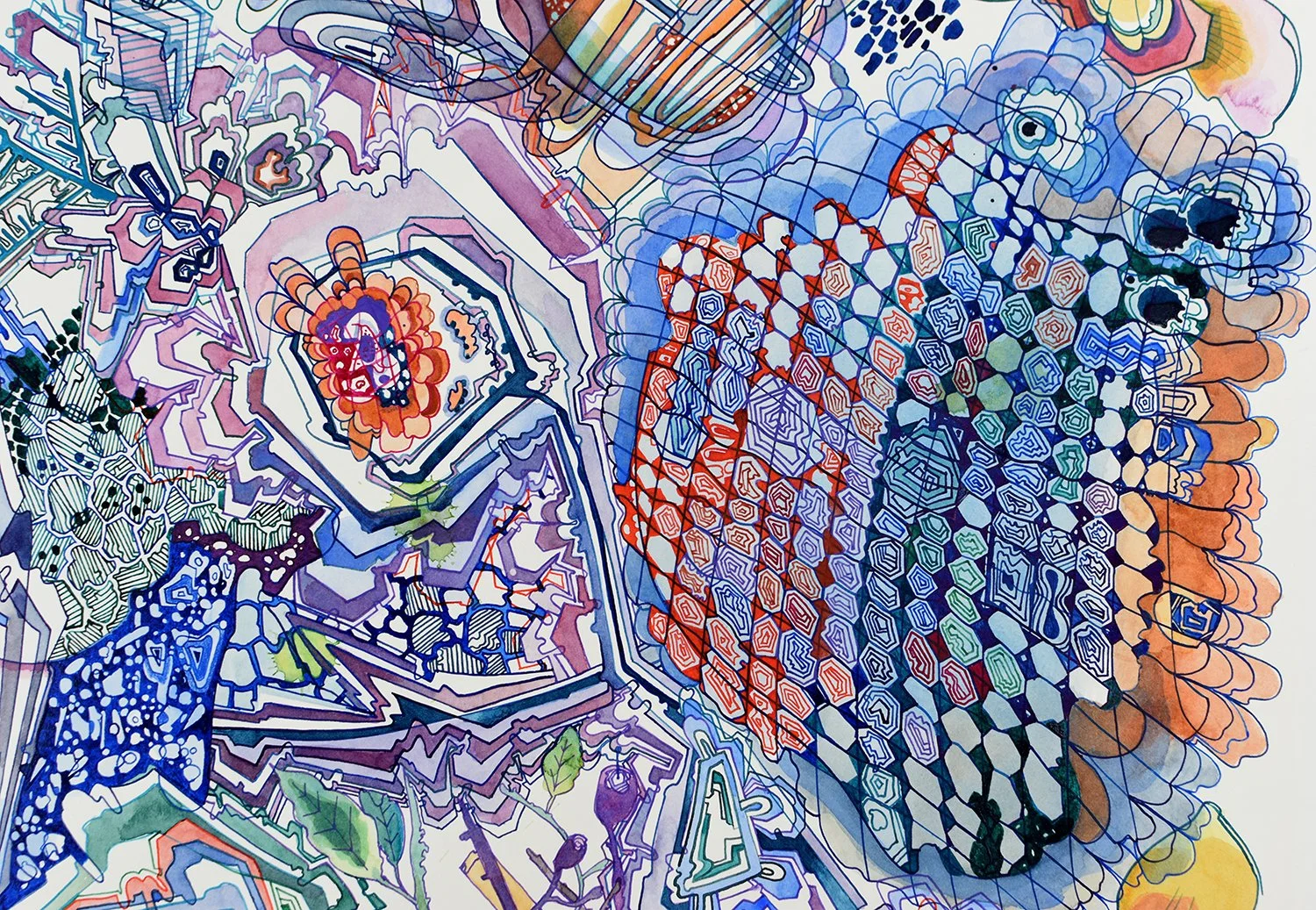 detail- Hopeful to Learn