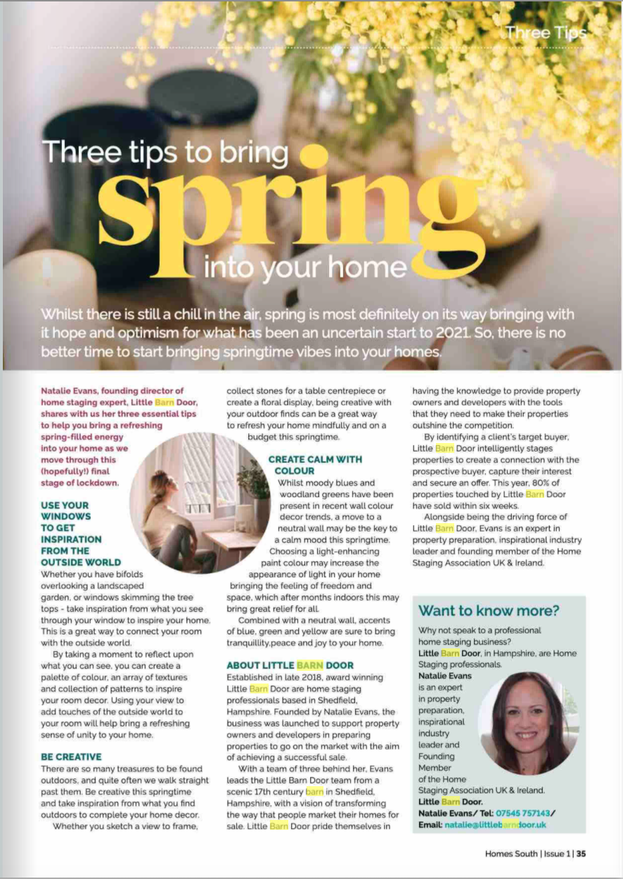 In the Press - Issue 1 - Homes South Magazine 