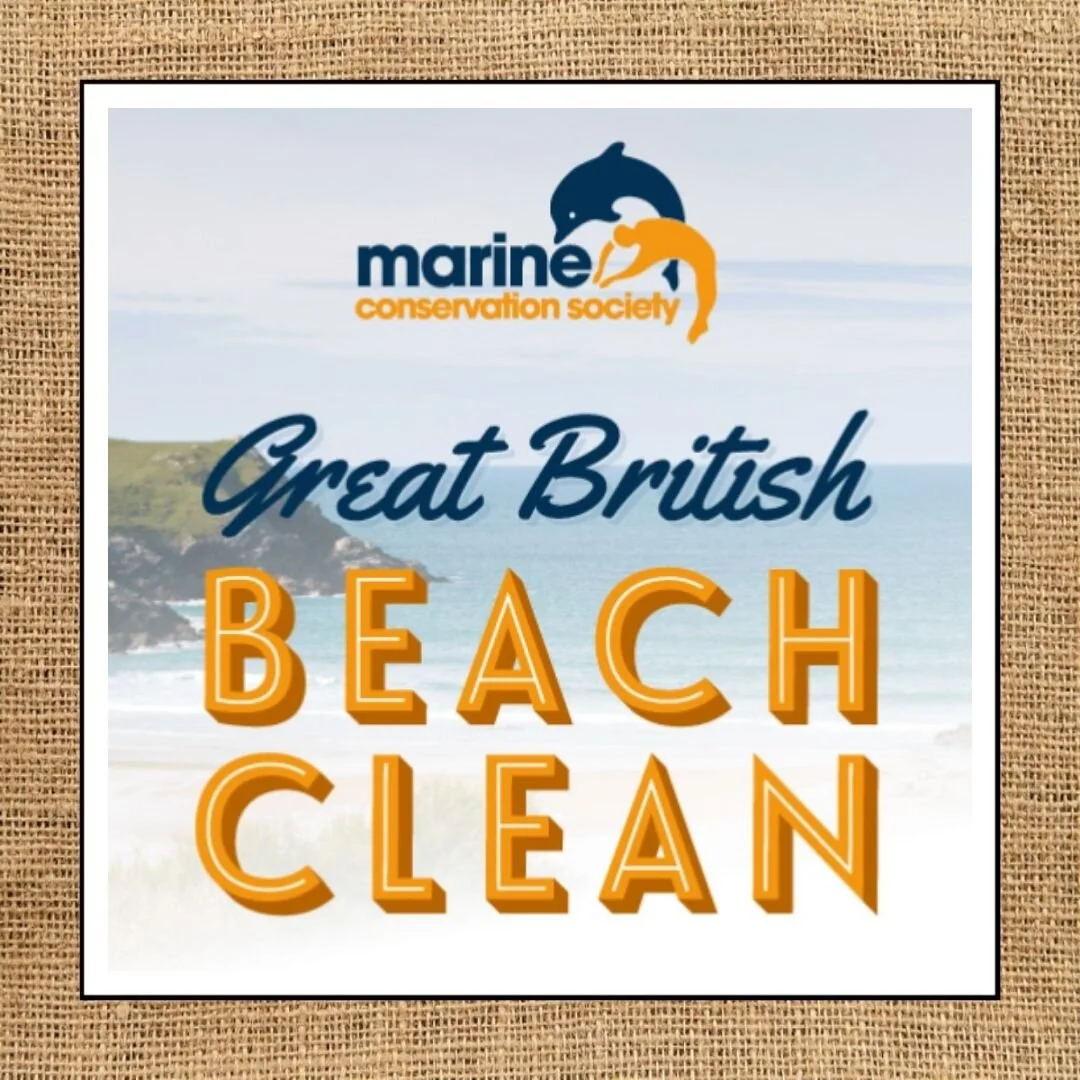 Great British Beach Clean 2021