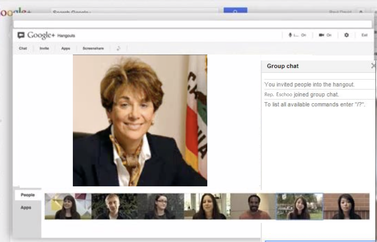 Deliberative Townhall Hangout Screen.png