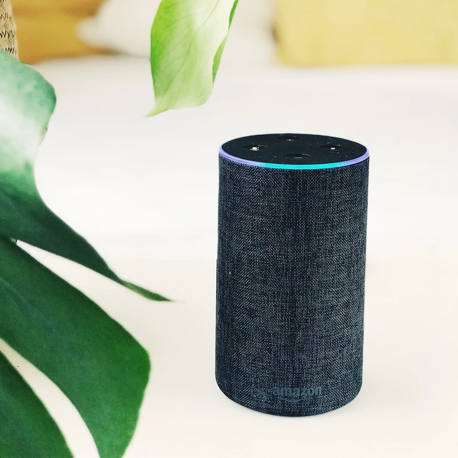 Amazon Alexa smart speaker
