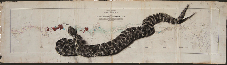 rattler survey map+.jpg