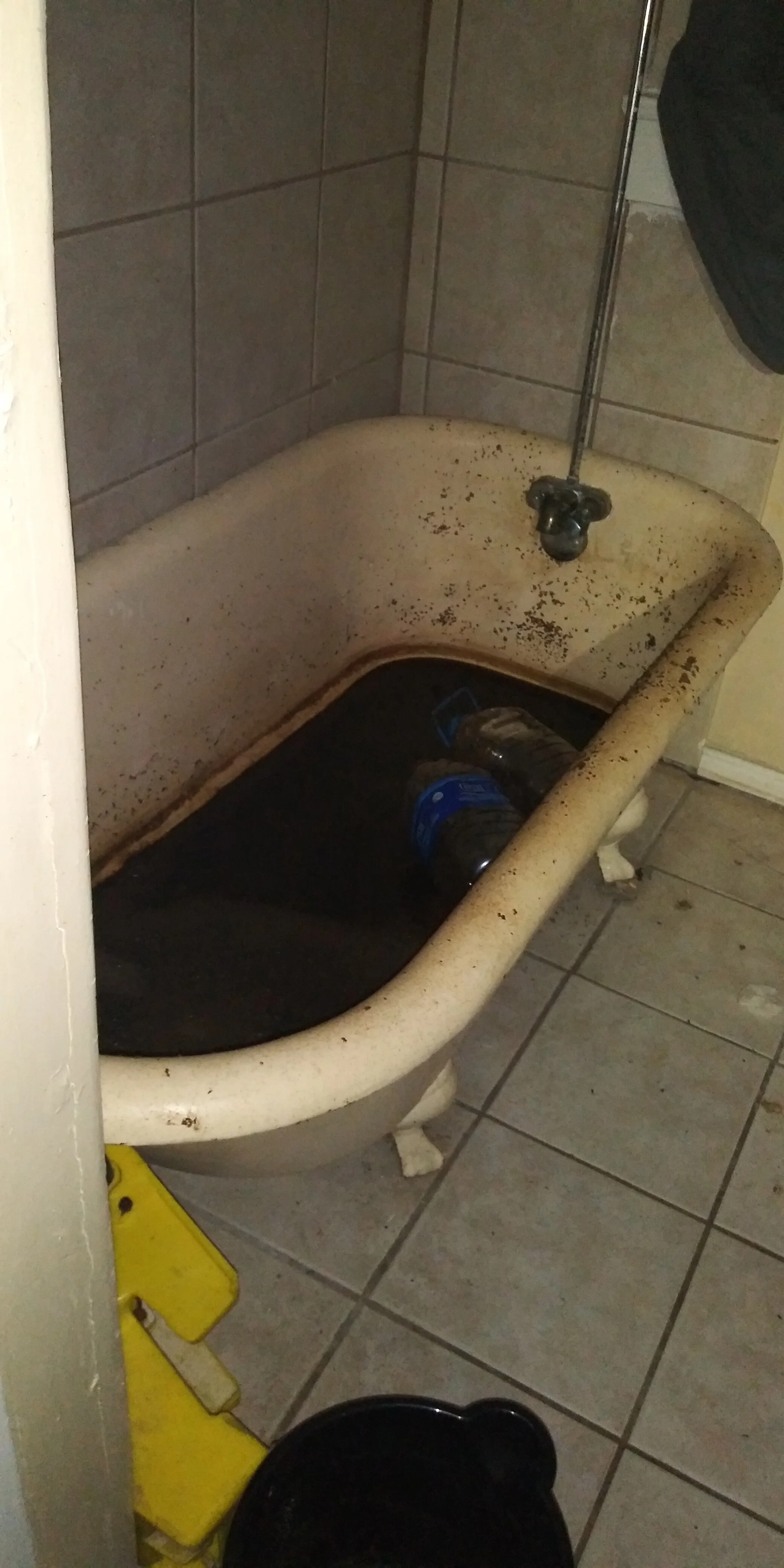 20191004_142547.jpg