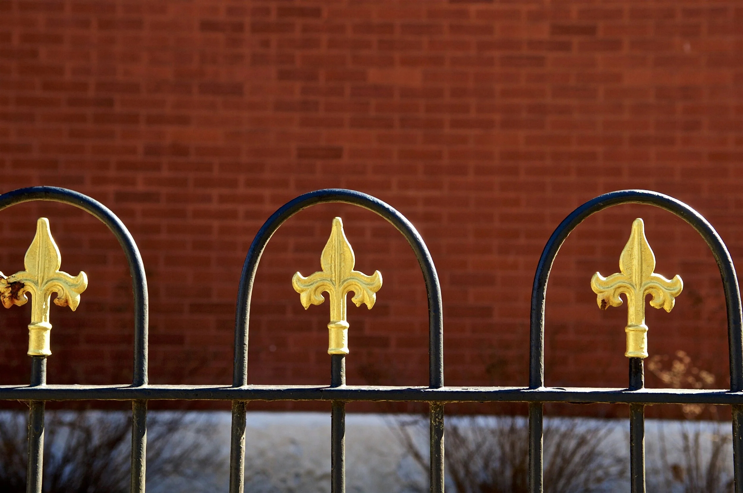 Tower Grove Neighborhoods Community Development Corporation  Releases 5 Year Strategic Report