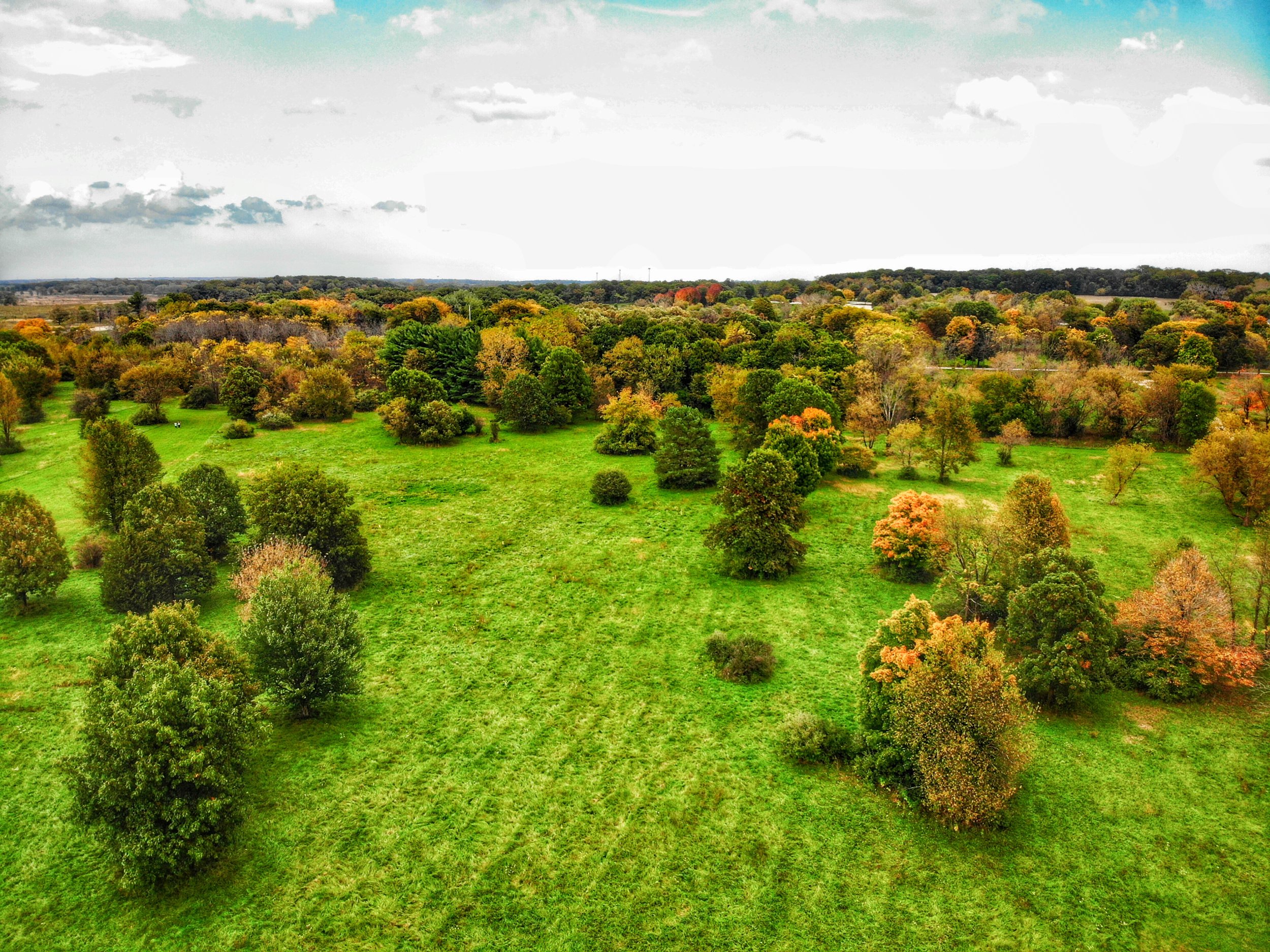 Lakewood Preserve.JPG