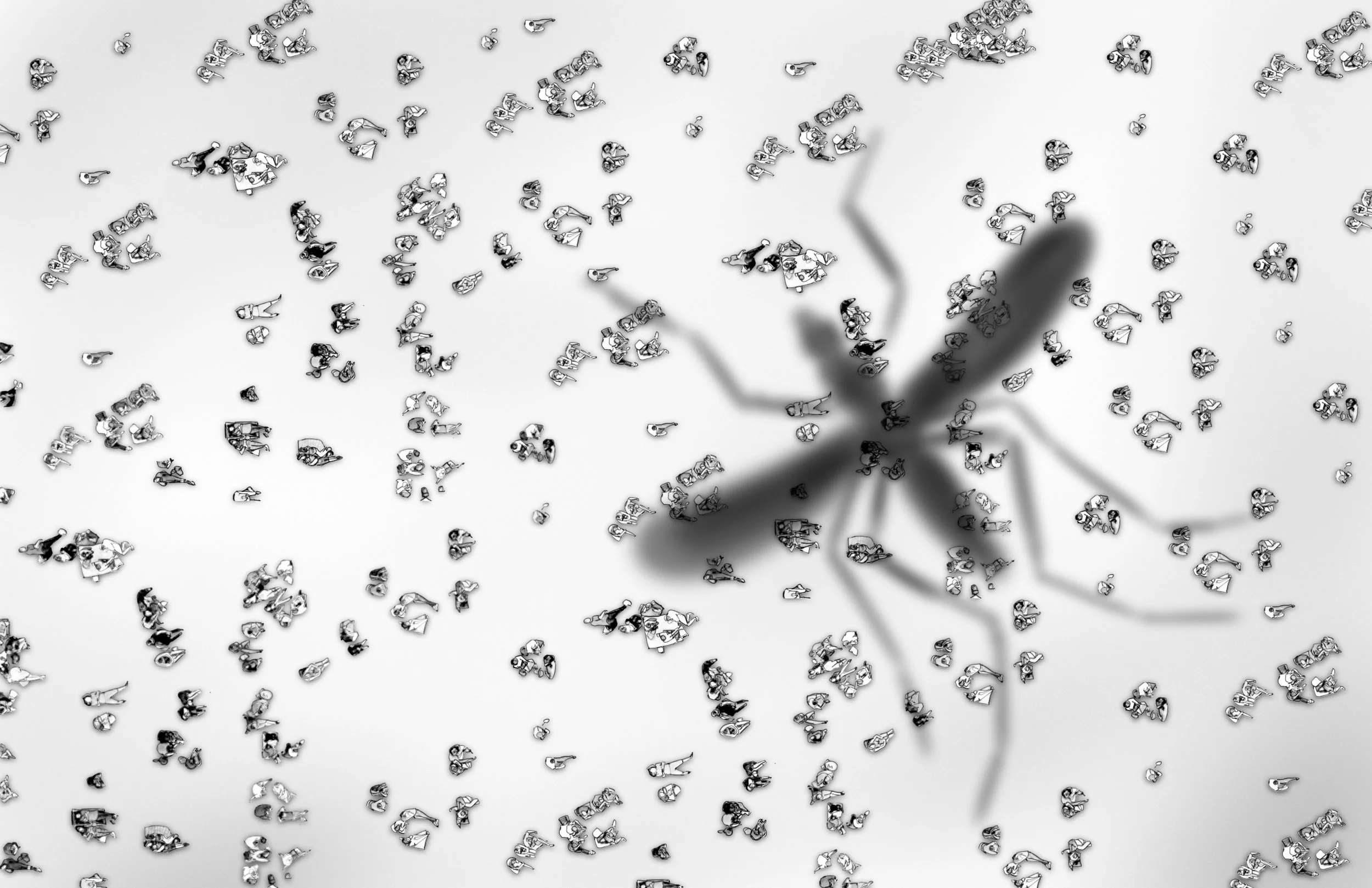 Dengue_11.jpg