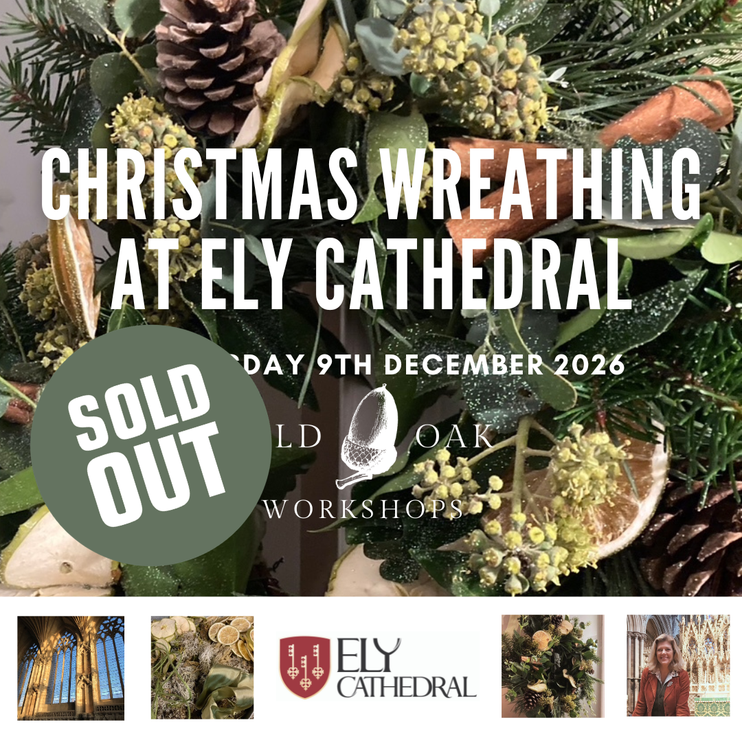 Ely Cathedral Christmas Wreathing.png