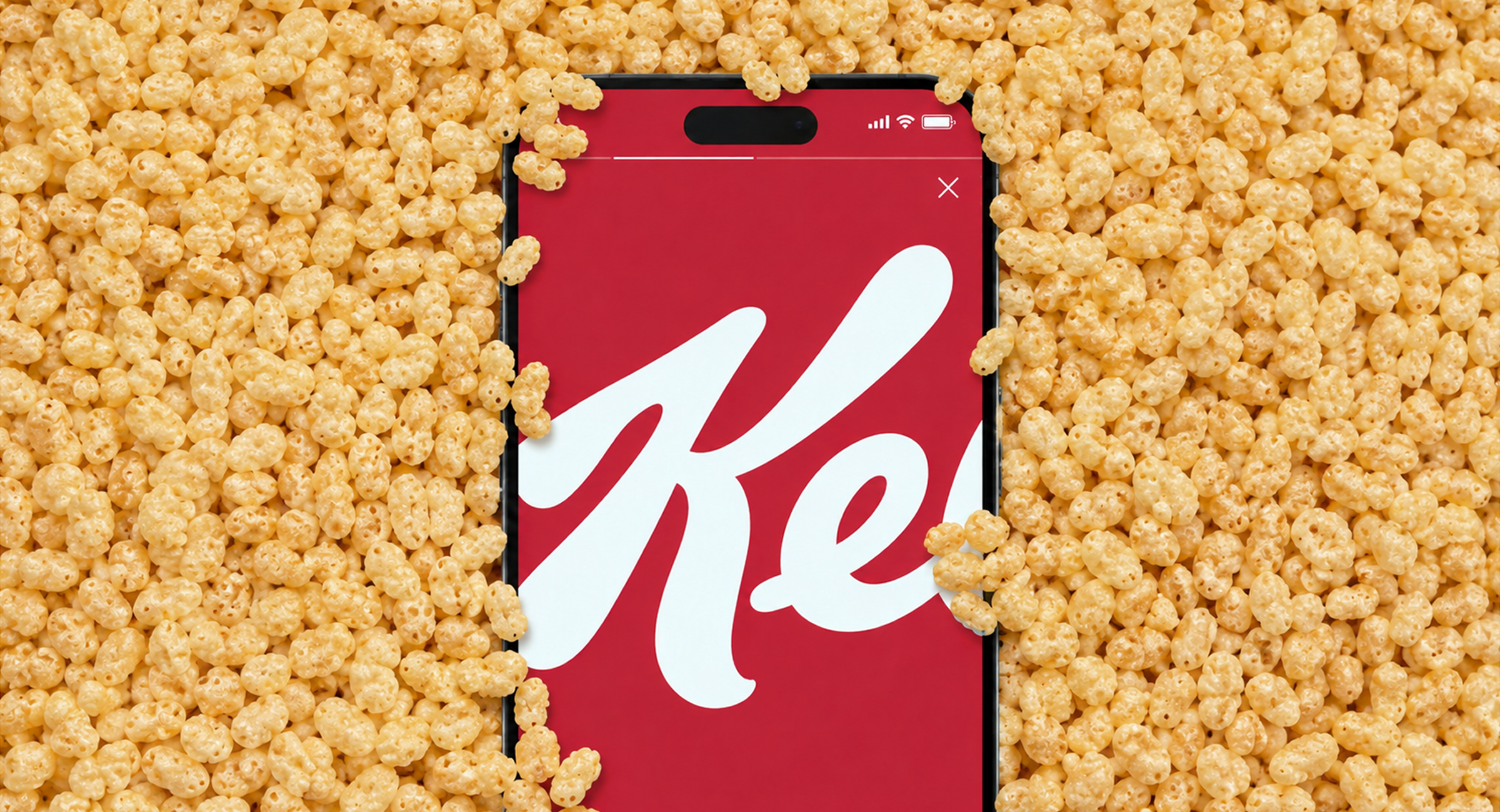 KEL_screen_rice.webp