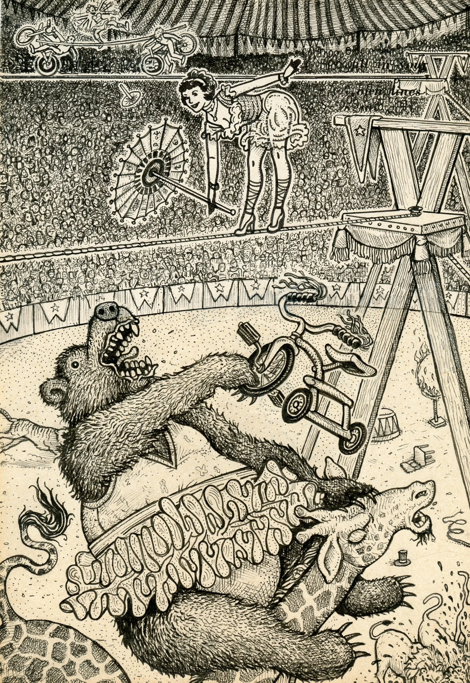 DP#17(High Wire).jpg