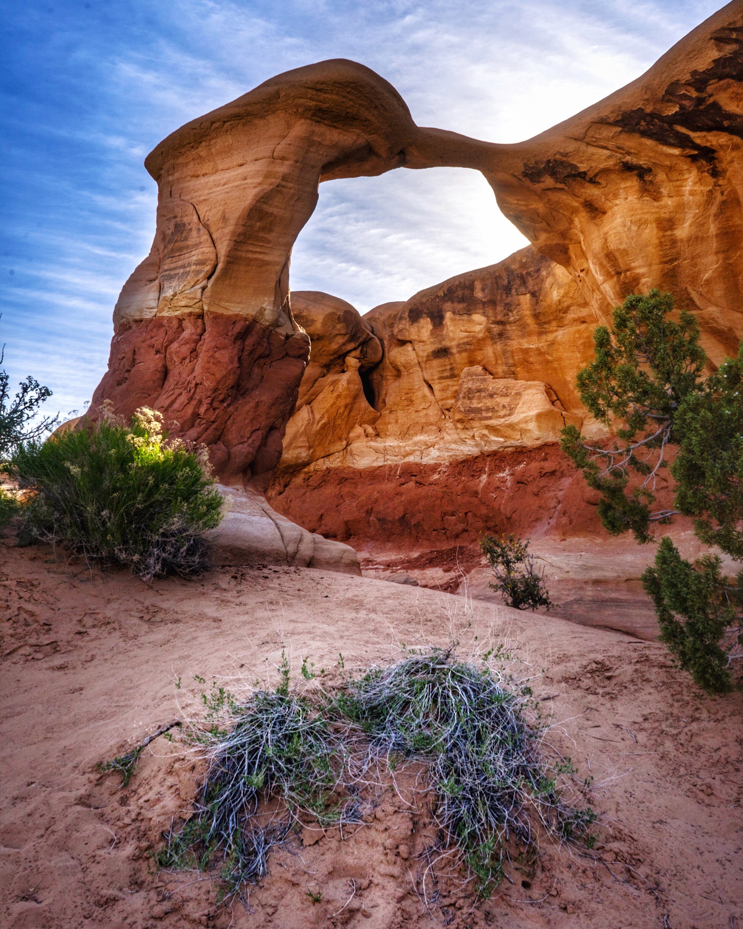 Metate Arch
