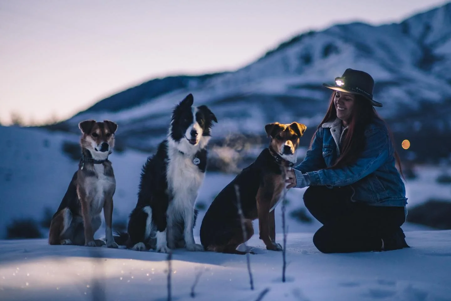 Chilly Dogs ☃️ Breaking dawn in the snowy hills is one of my favorites!  @juniperwhiskey and the crew aren&rsquo;t afraid of the cold 🥶 #winter #winterwonderland #snow #bluehourphotography #bluehour #dawn #sunrise #winterphotography #winterphotoshoo