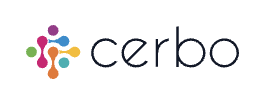 VP of Payments