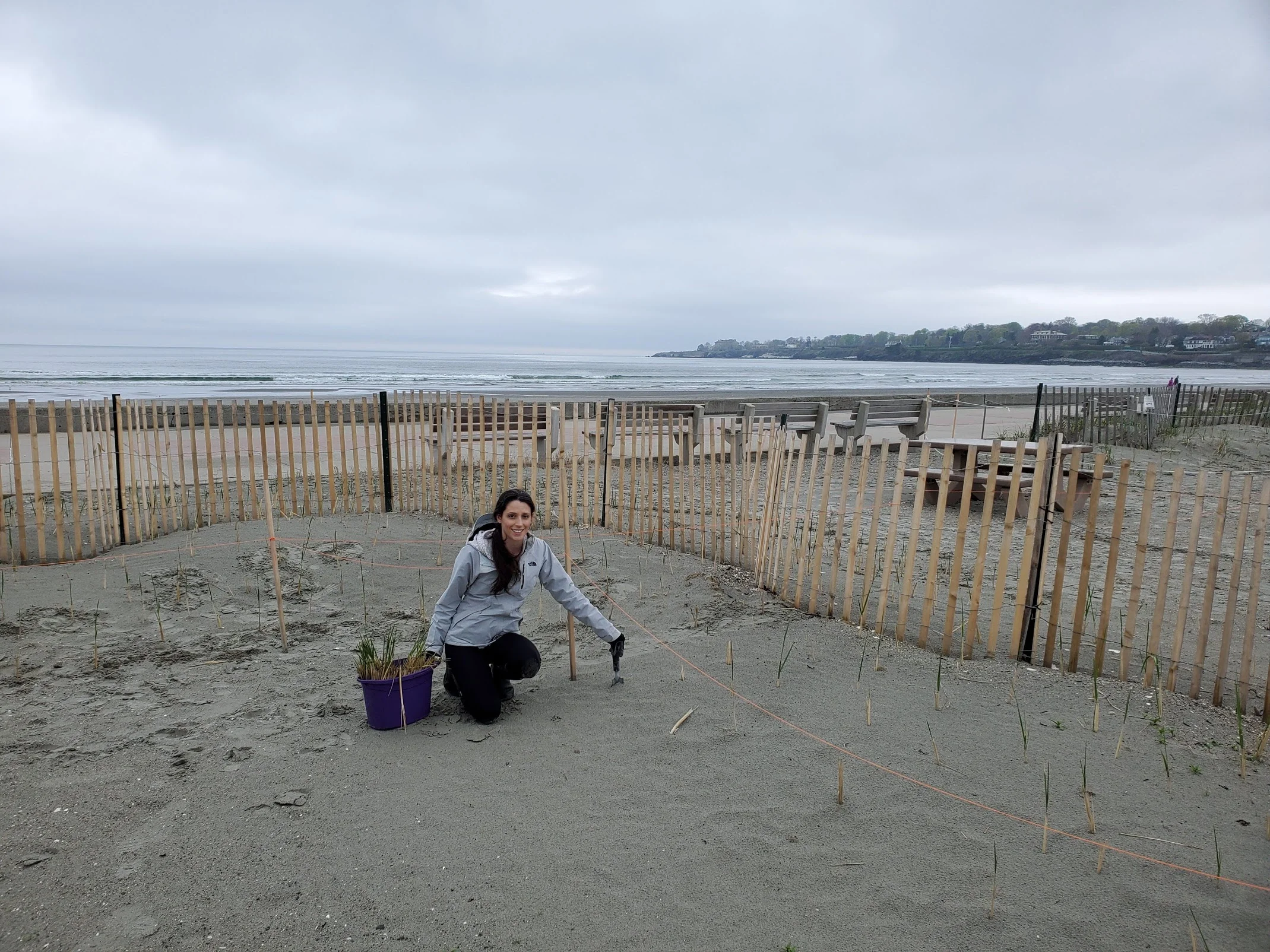 BEACH GRASS.jpg