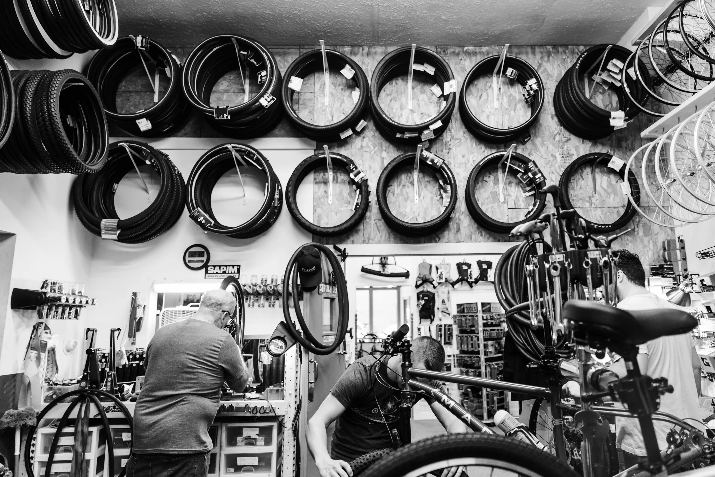 Wilsons_Cycle-13.jpg