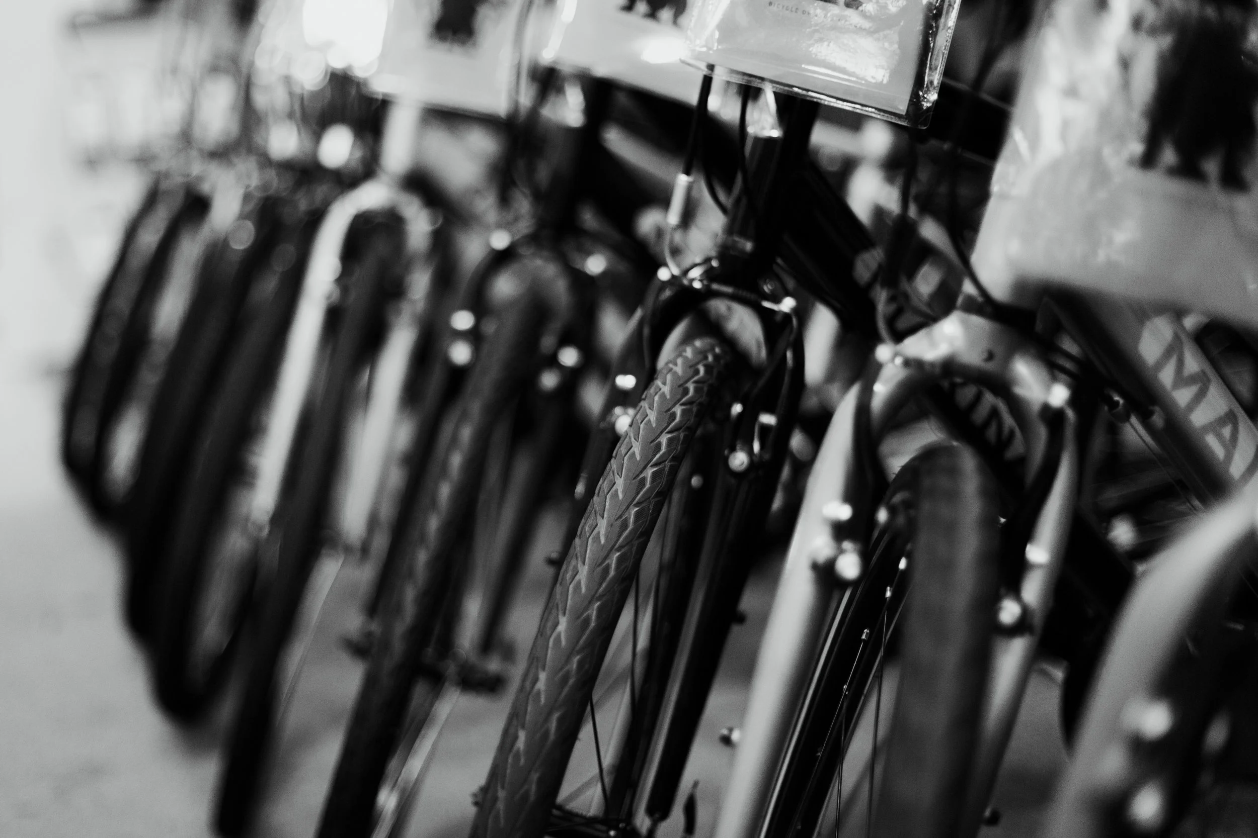 Wilsons_Cycle-16.jpg