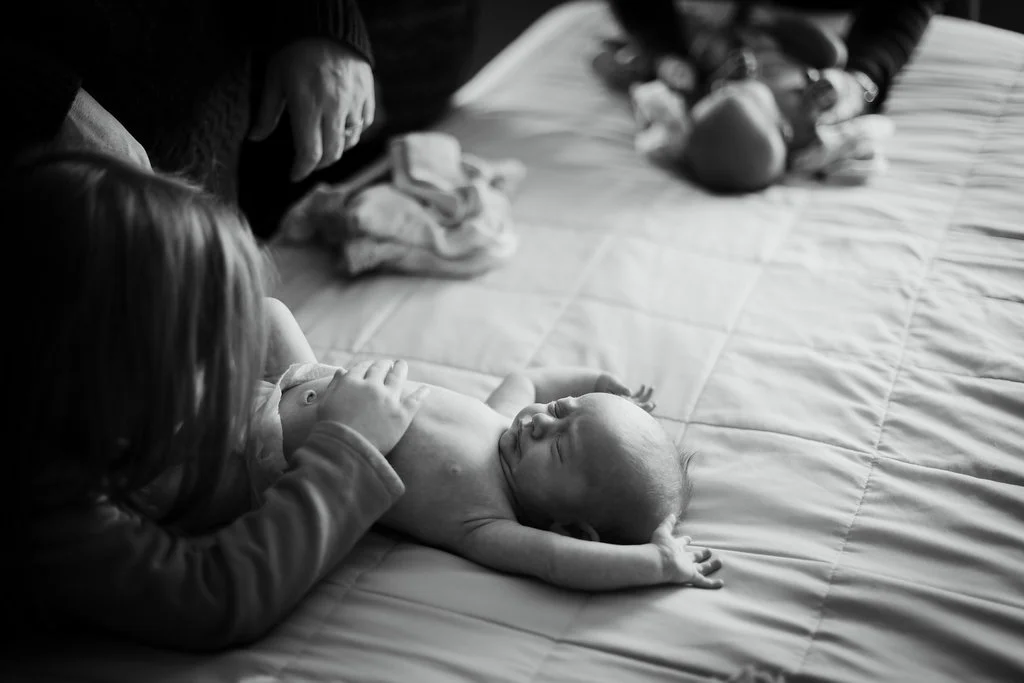 Emeree+Joe+Stella-1.jpg