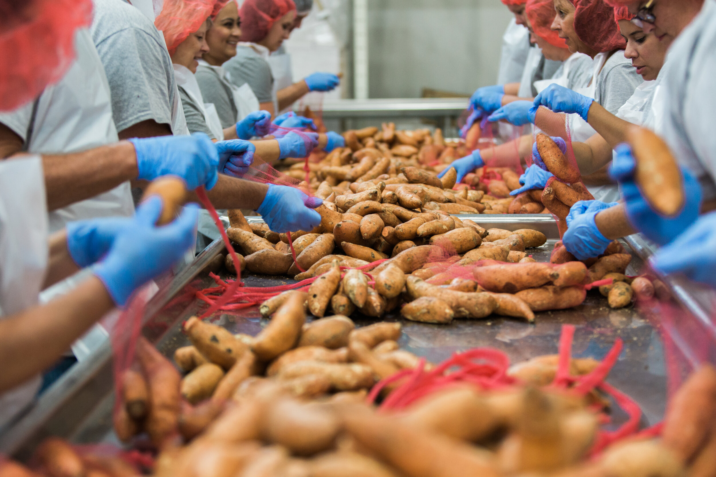 food bank corporate photography