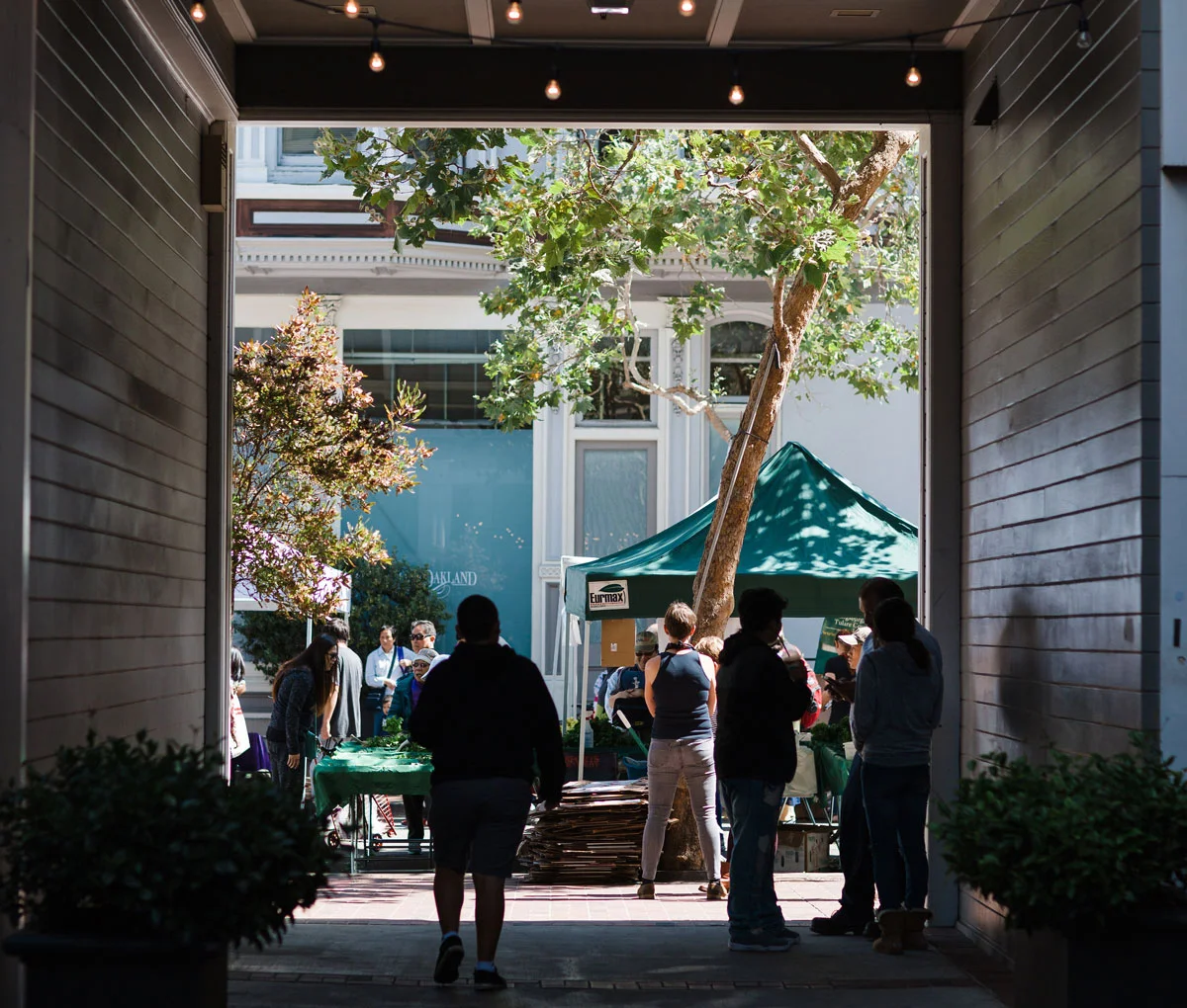gallery-Wilcox_AlleytowardstheStreet.jpg