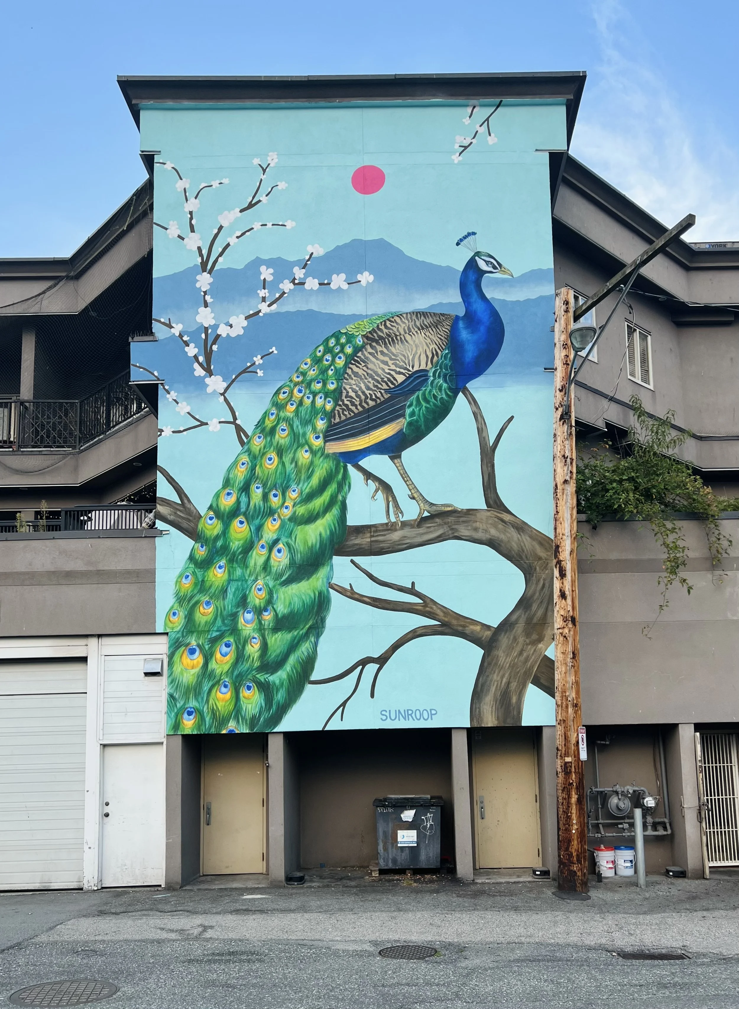 Mohr Mural 30 X 20ft.jpeg