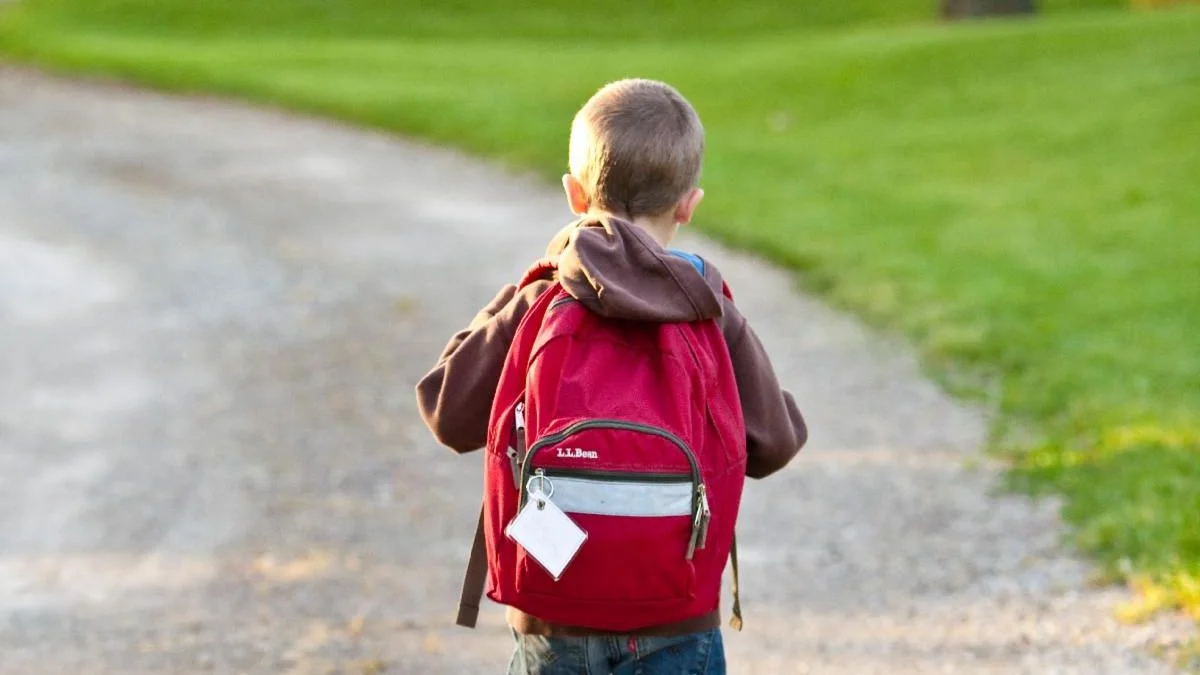 Upcoming election: some good information on supporting children in Canada