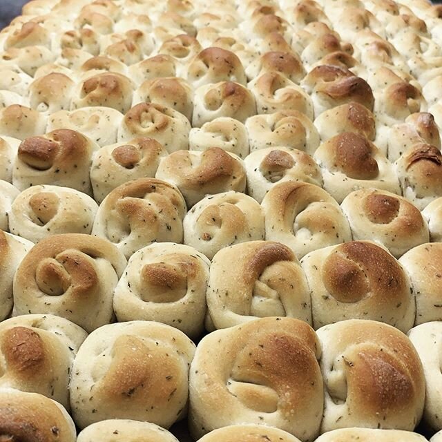 First round of our freshly baked garlic knots just out of the oven!!!
#fresh #appetizers #sanibelisland #chefantonio #knots